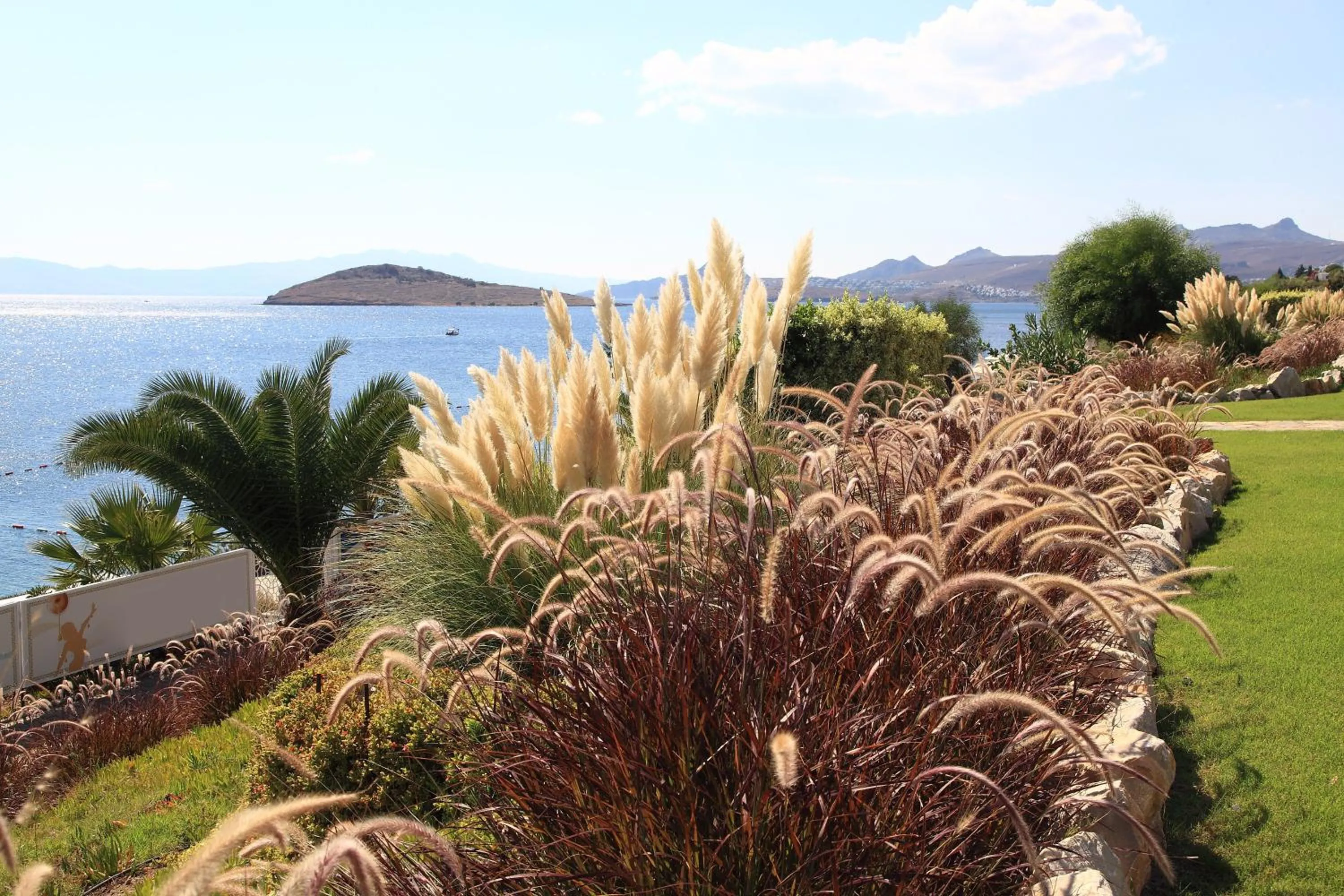 Day in Aktur Residence