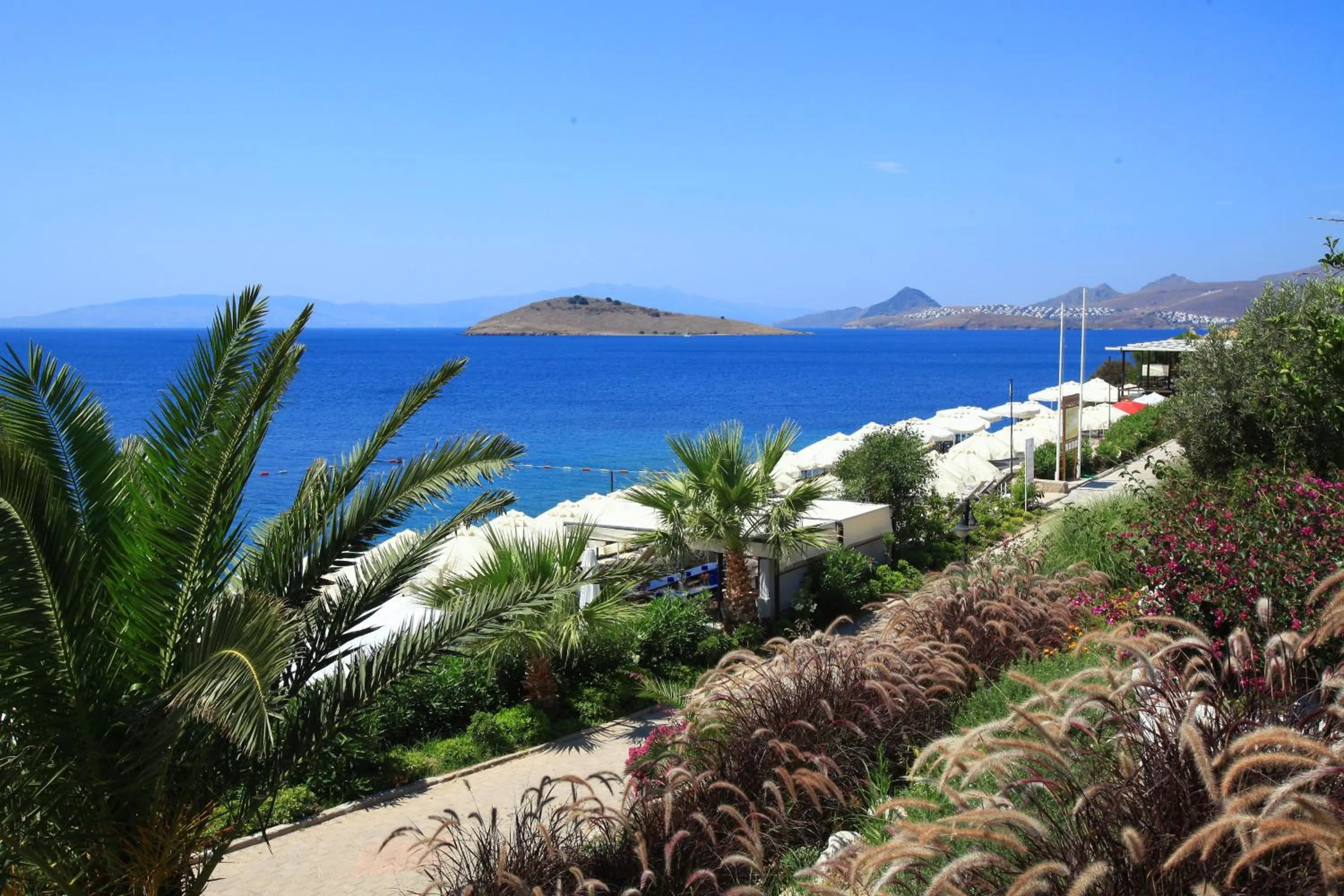 Day in Aktur Residence