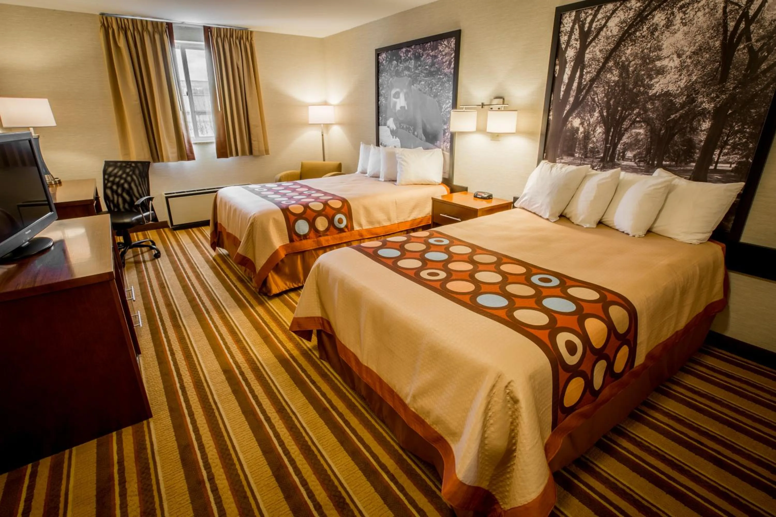 Bed in Super 8 by Wyndham State College