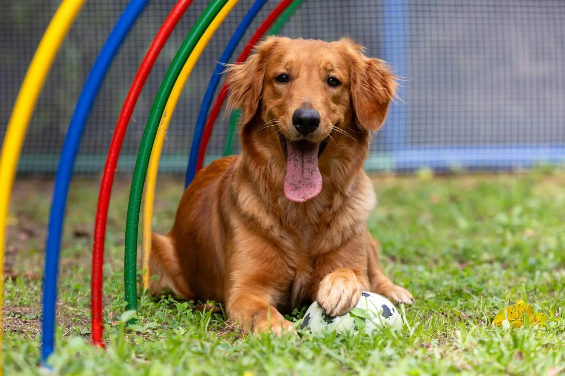 Hotel Dann Carlton Belfort Medellin