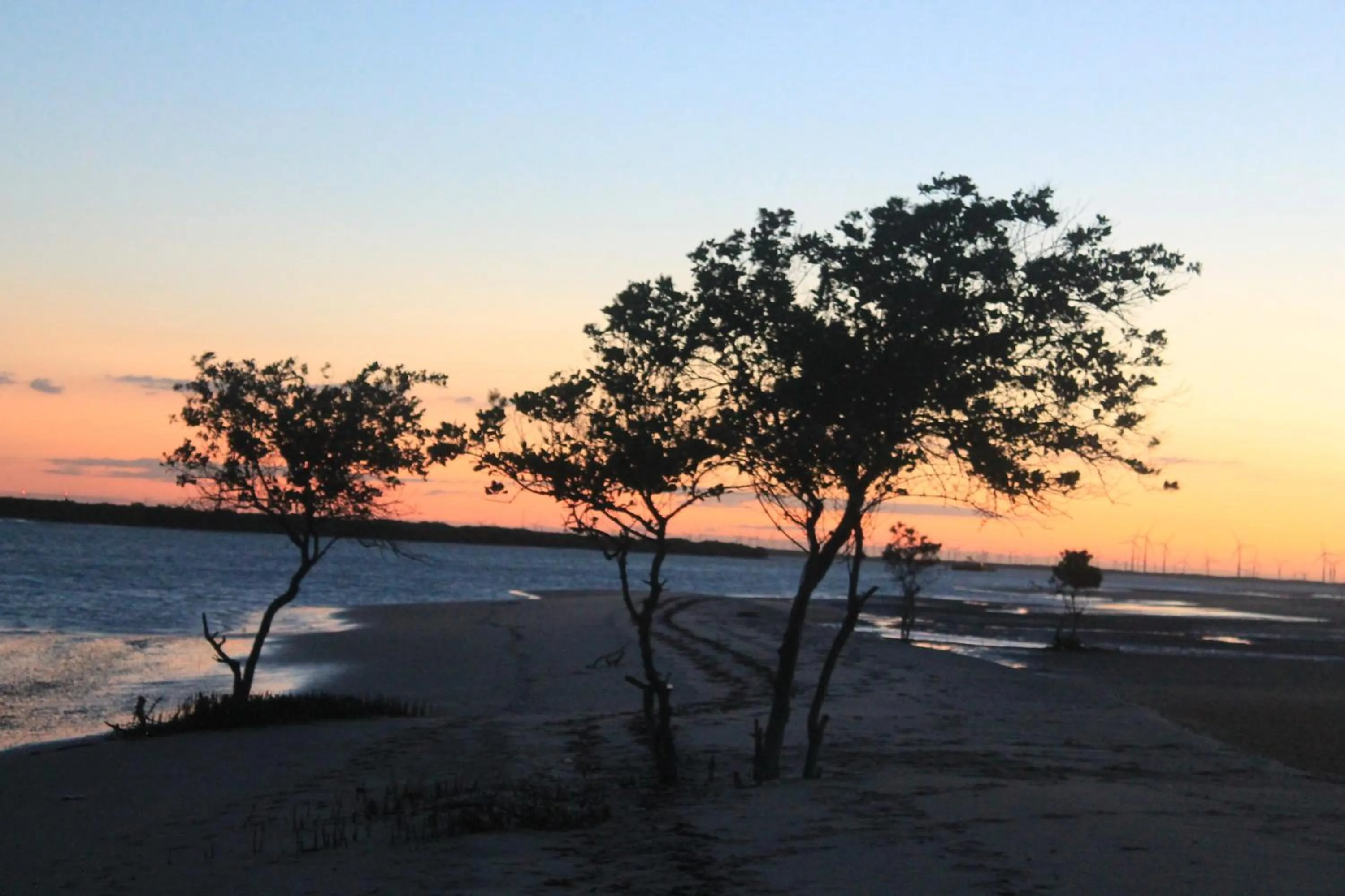 View (from property/room) in Amagali Pousada