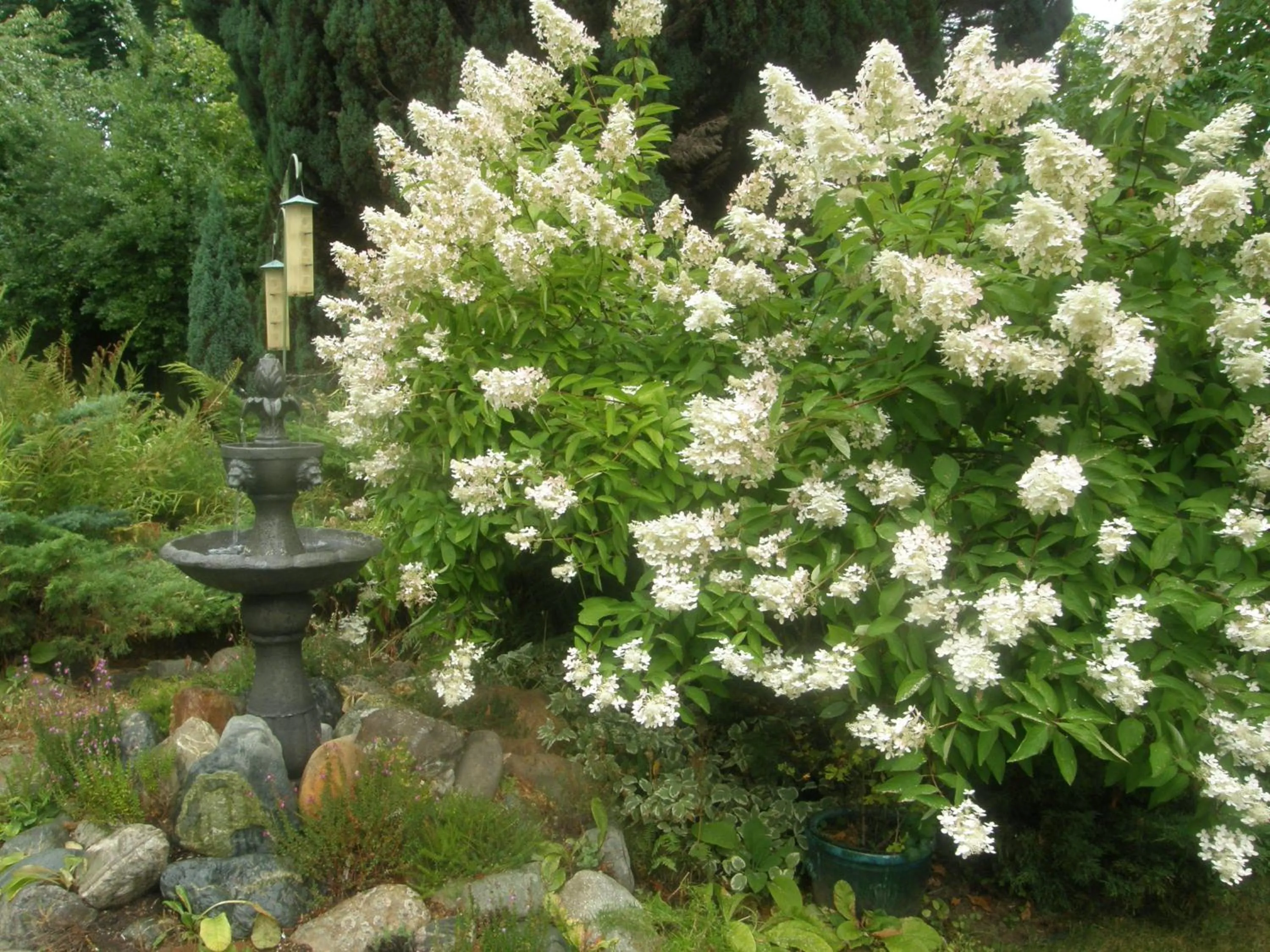 Garden in Cedar Wood Lodge Bed & Breakfast Inn