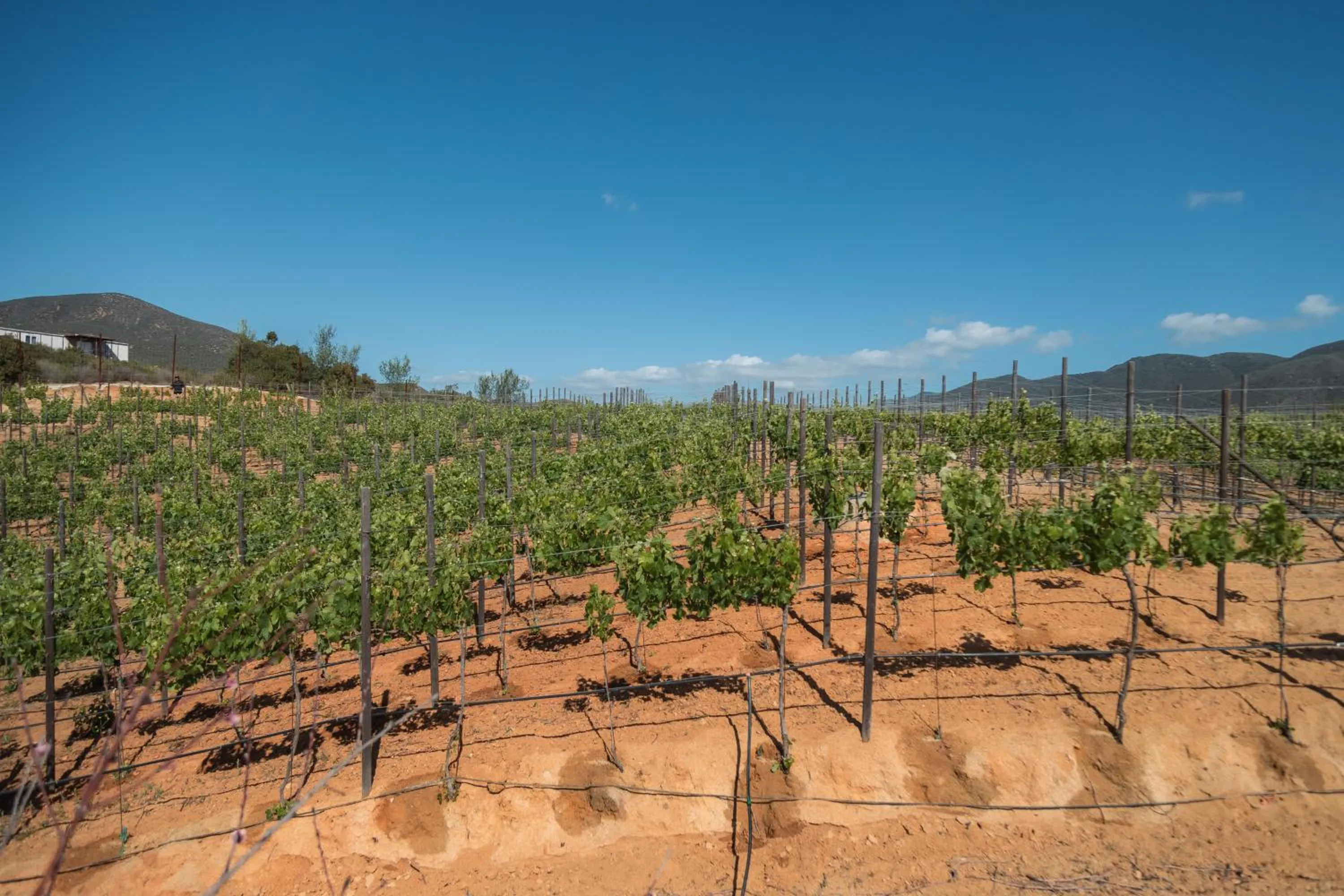 Area and facilities in Maglen Resort