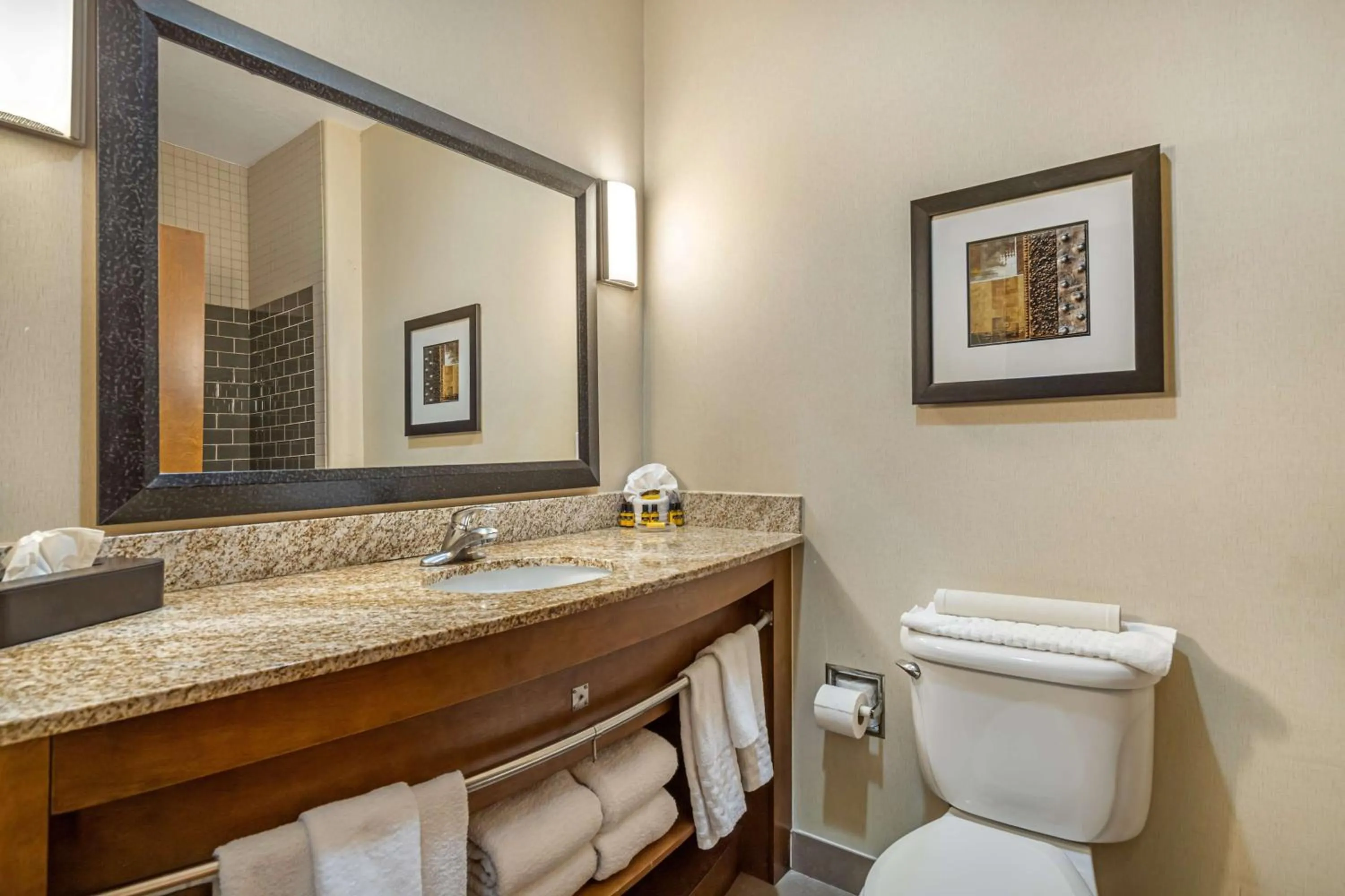 Bathroom in Best Western Plus Lackland Hotel and Suites.