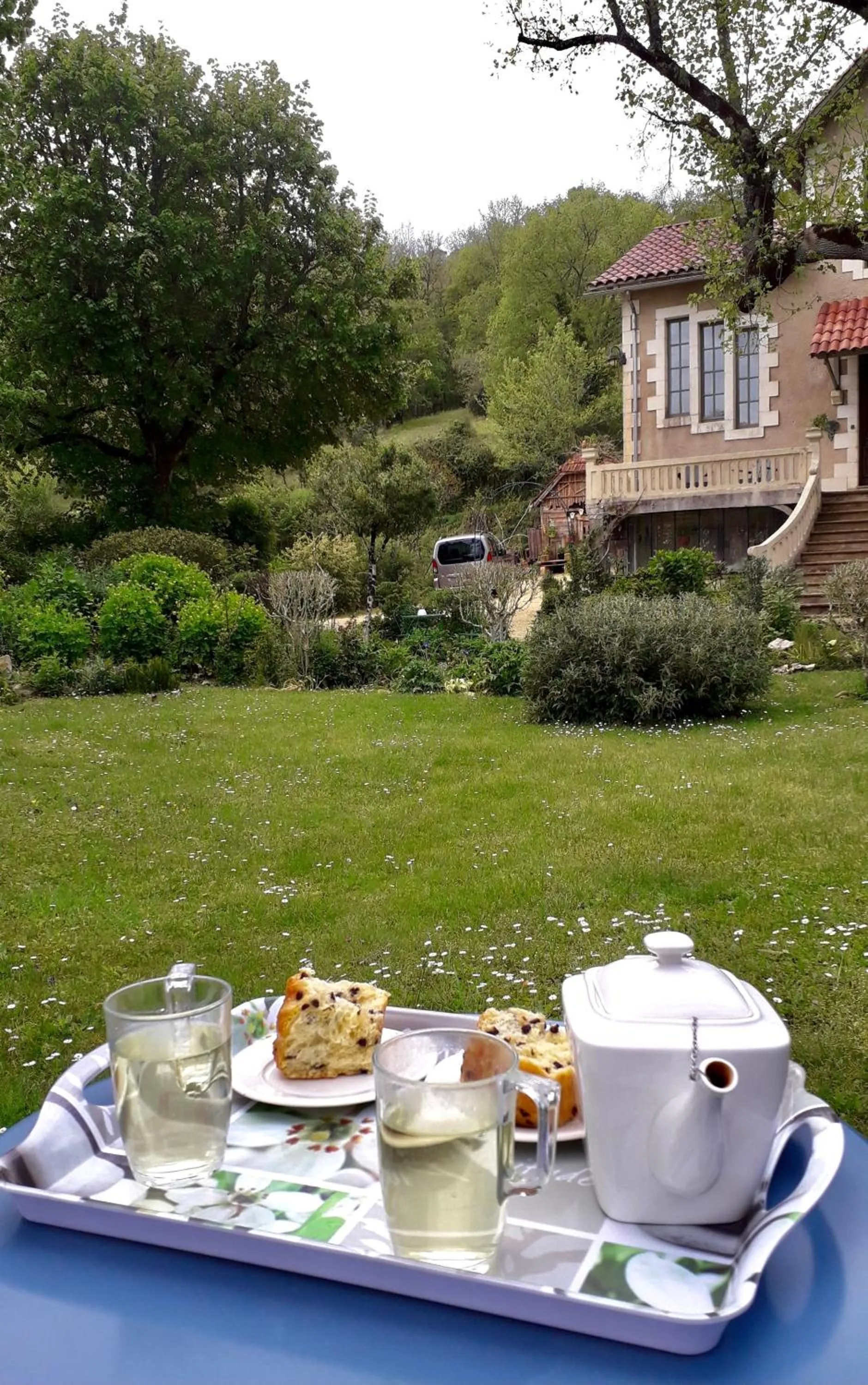 Garden in Villa Léovil