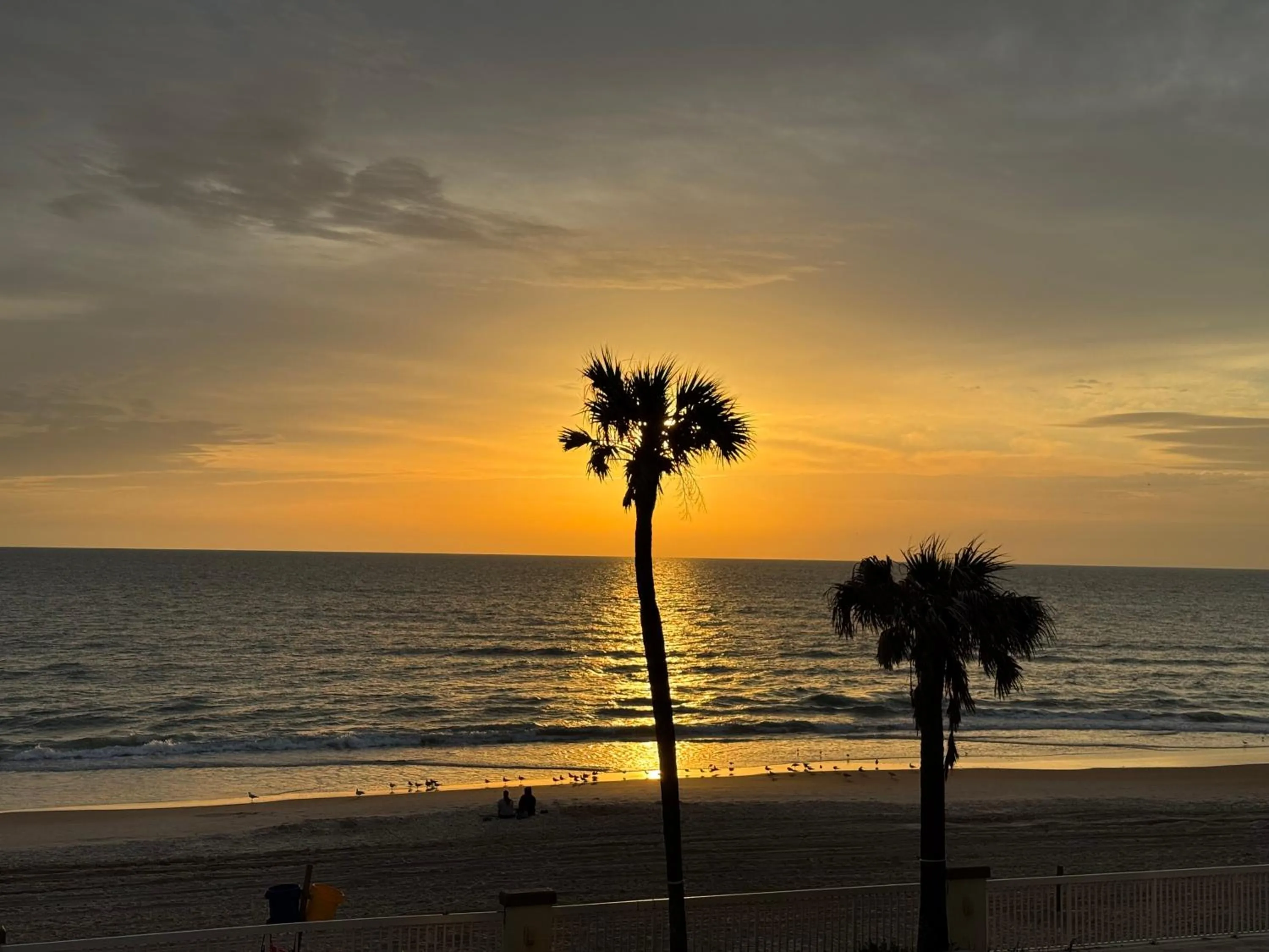 Direct oceanfront, fantastic ocean view, separate bedroom ! - Pools open !