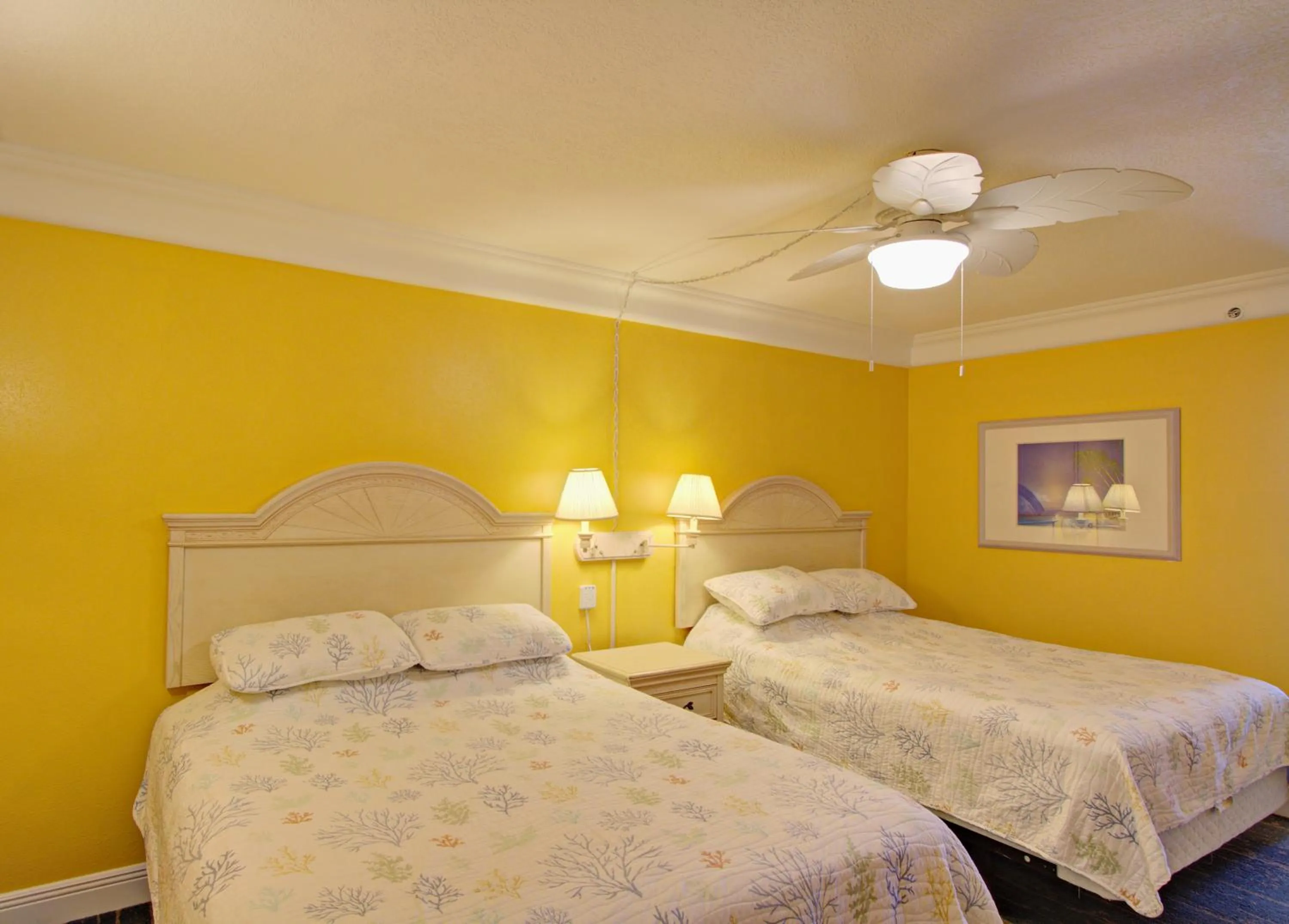 Bedroom, Bed in Direct oceanfront, fantastic ocean view, separate bedroom ! - Pools open !