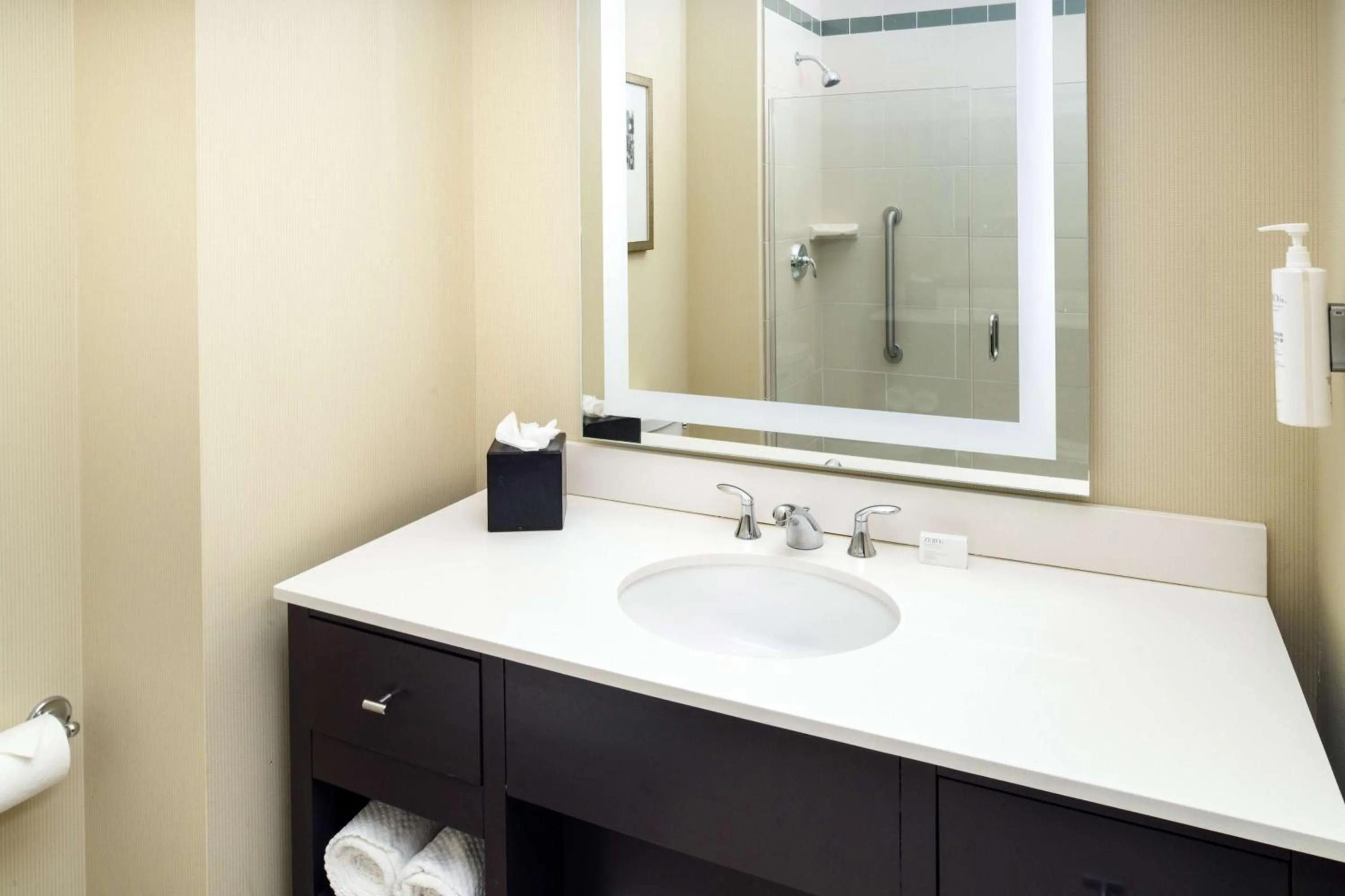 Bathroom in Embassy Suites Saint Louis - Downtown