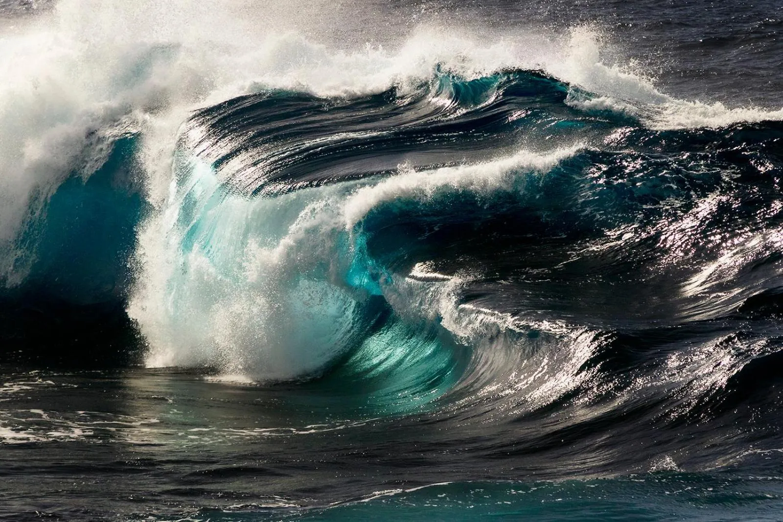 Natural landscape in Hotel Puntagrande