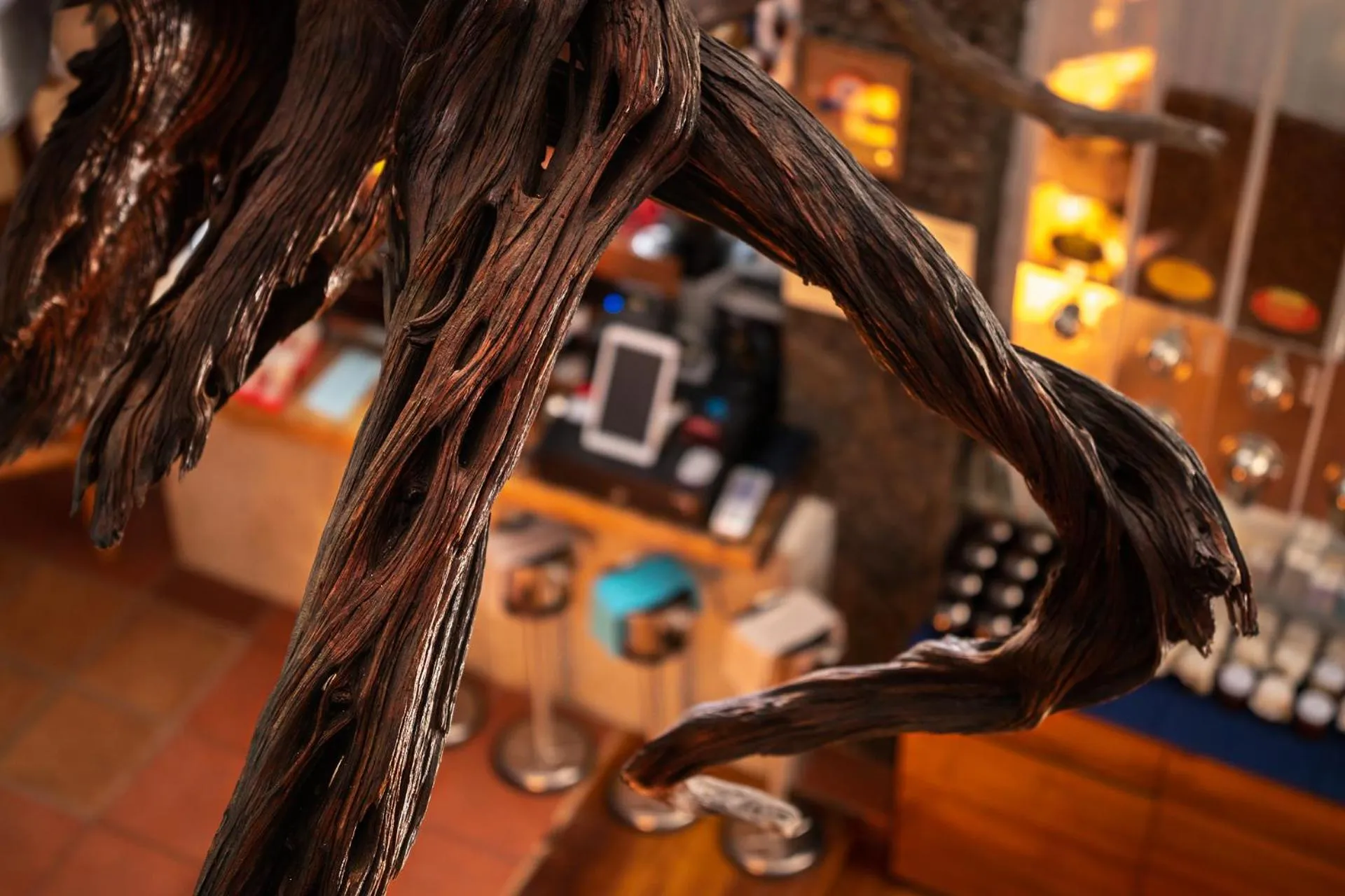 Restaurant/places to eat in Hotel Puntagrande