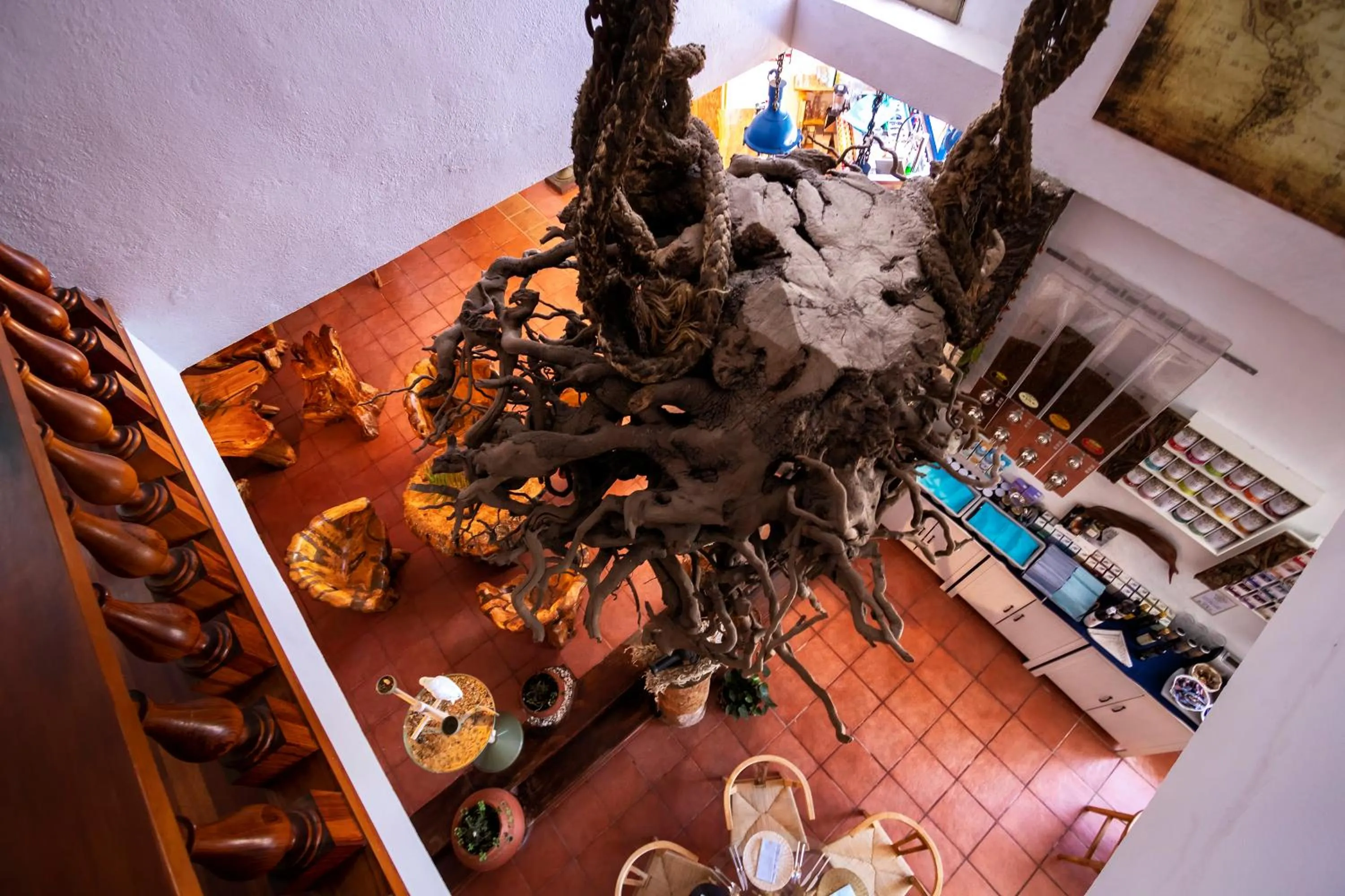 Restaurant/places to eat in Hotel Puntagrande