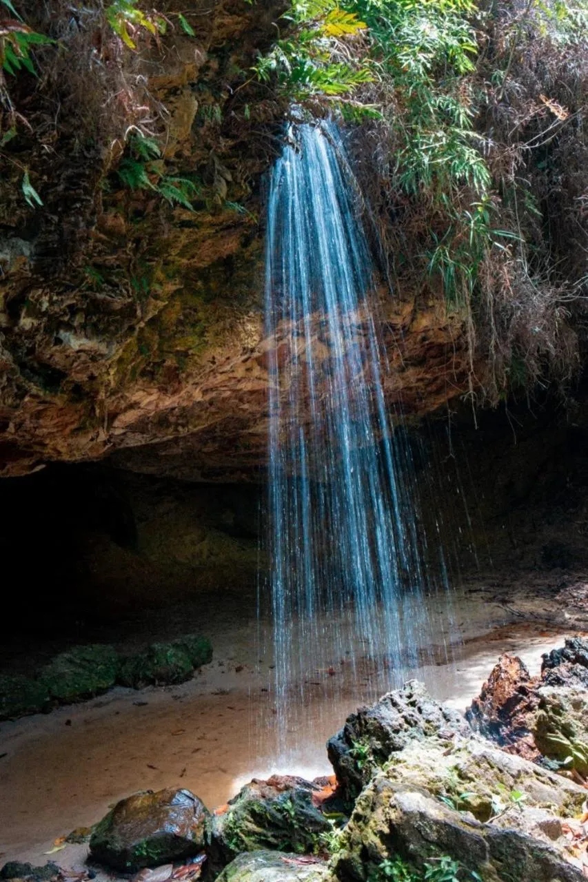 Natural landscape in Pousada E Restaurante Passart