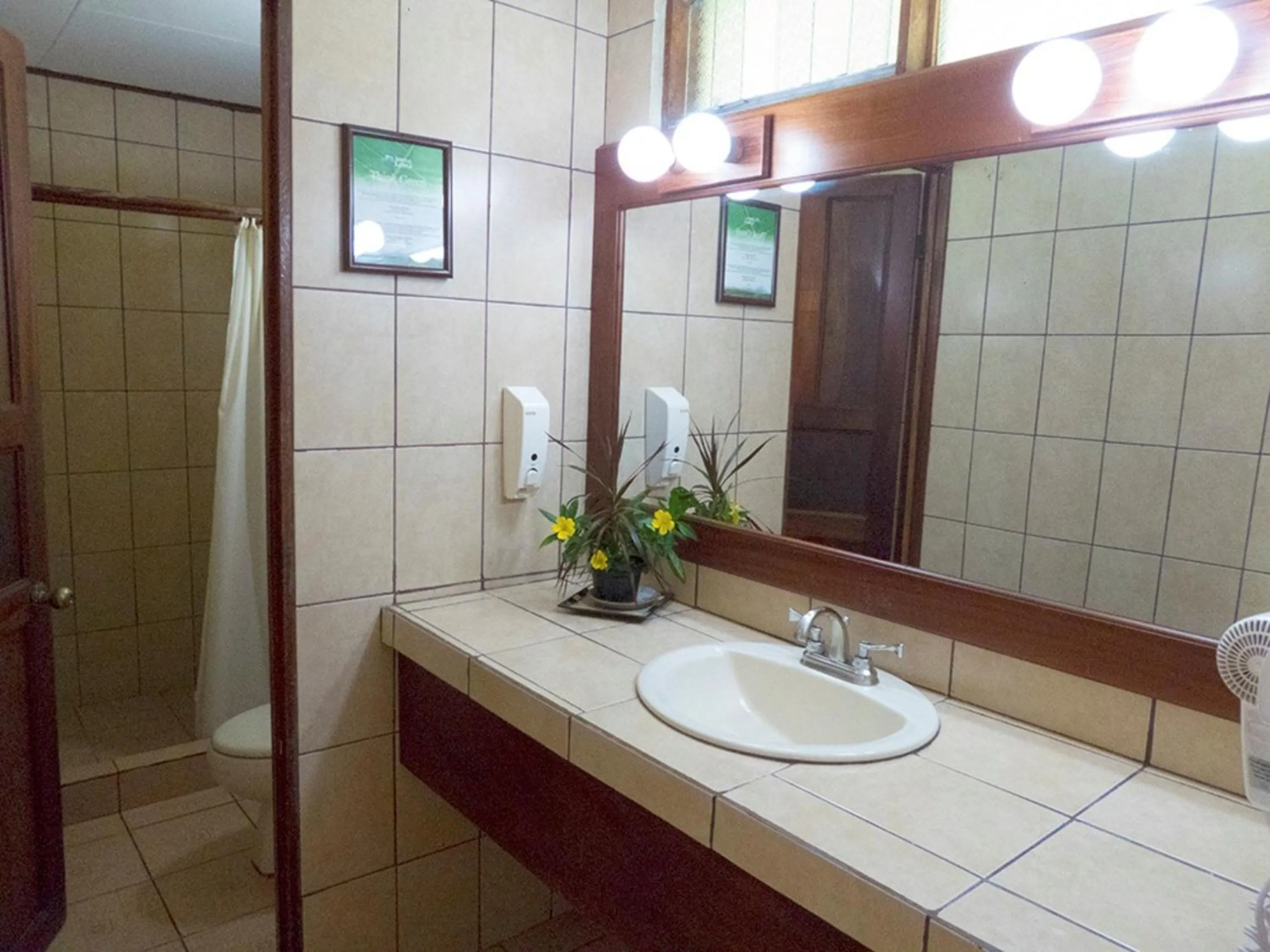 Toilet in Hotel Arenal Lodge