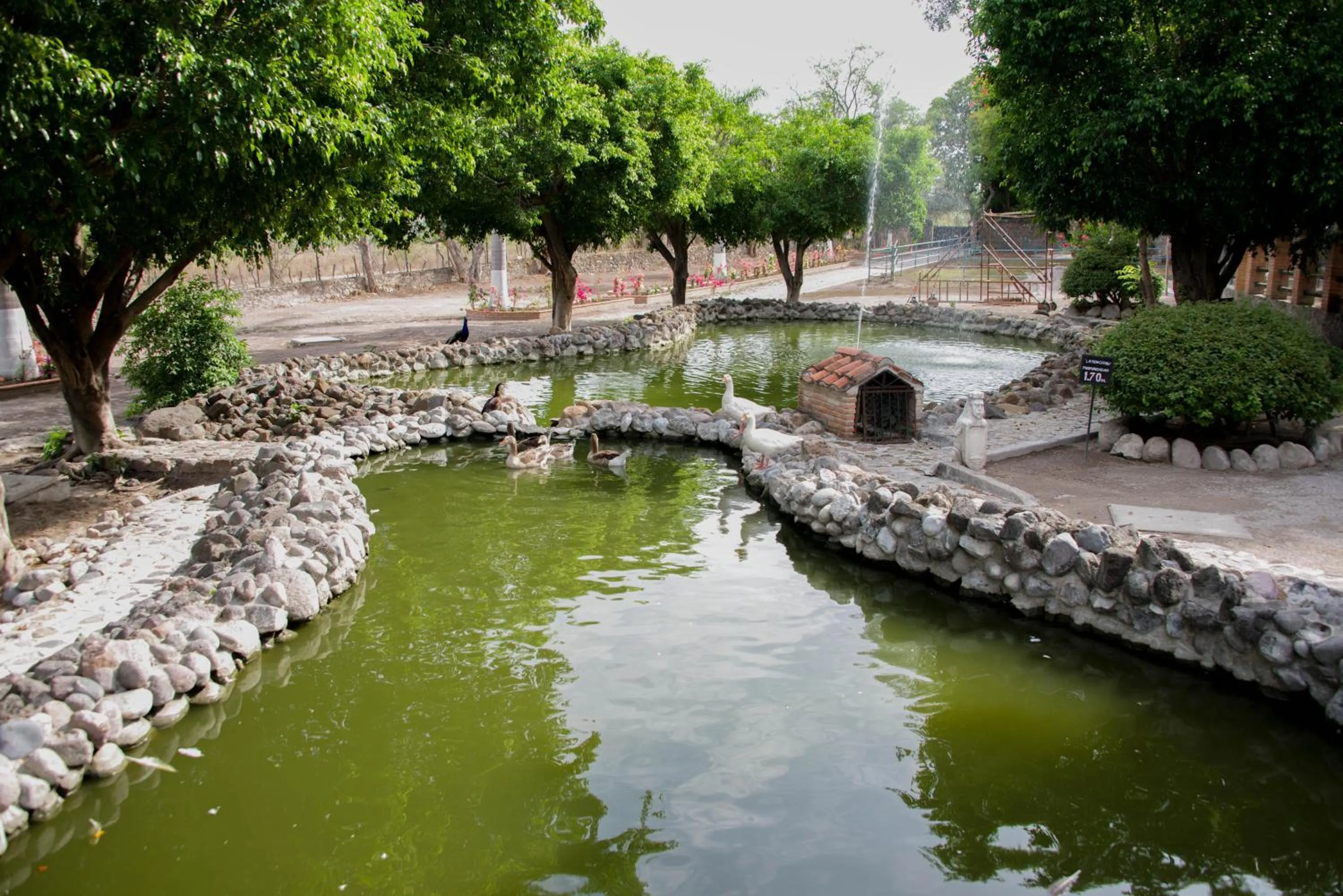 Natural landscape in Hotel Hacienda Vista Hermosa