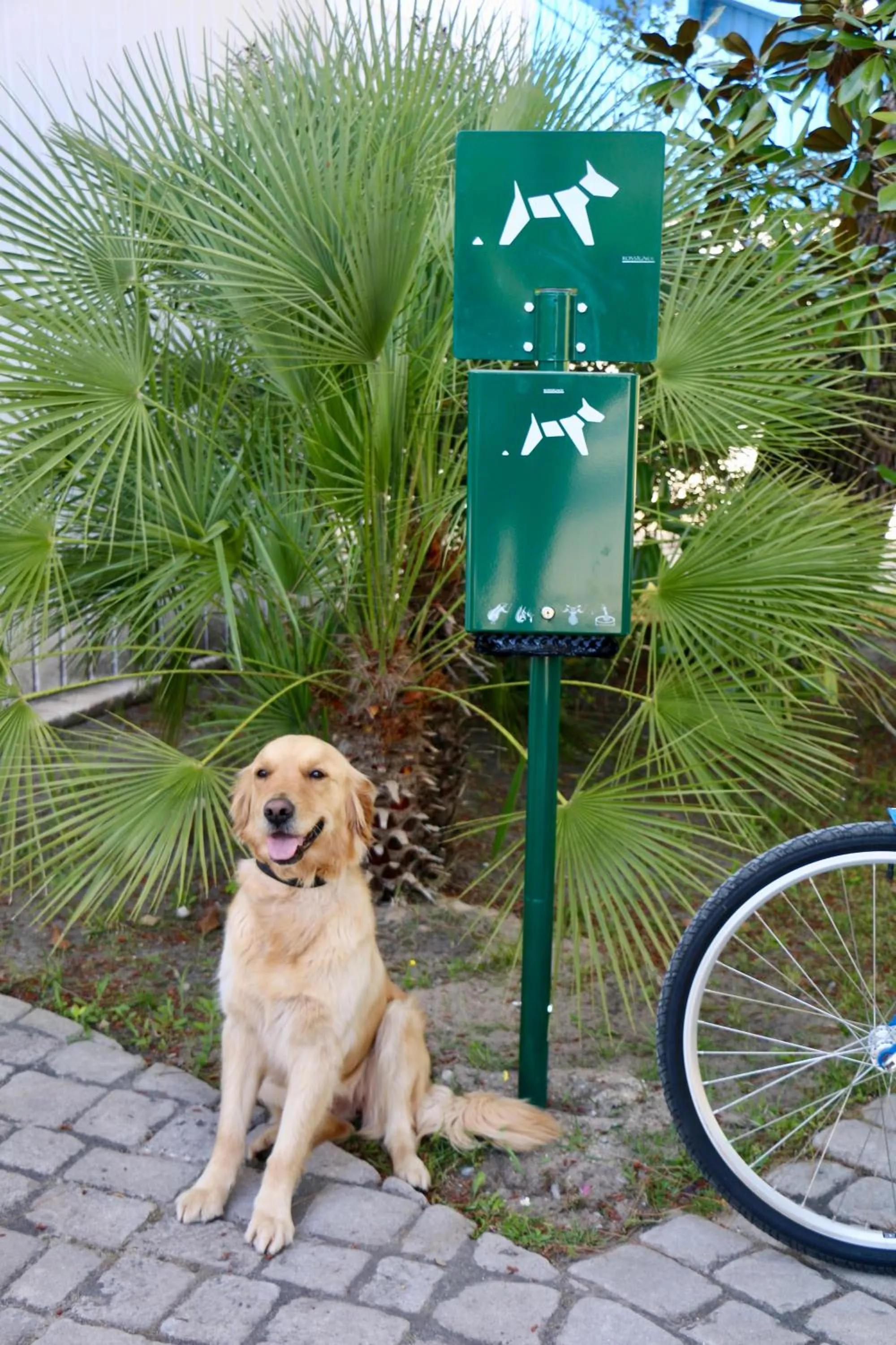 Pets in Espace Blue Océan