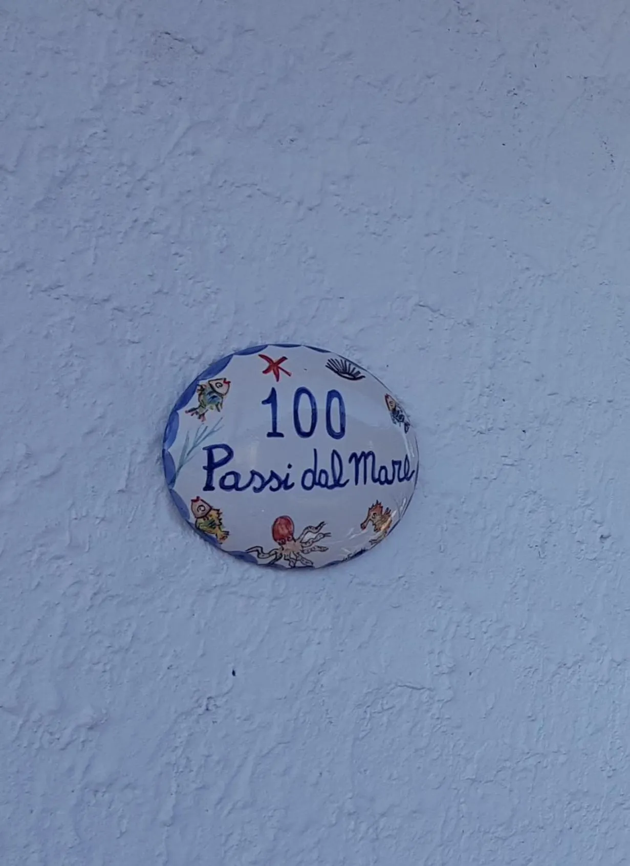 100 passi dal mare