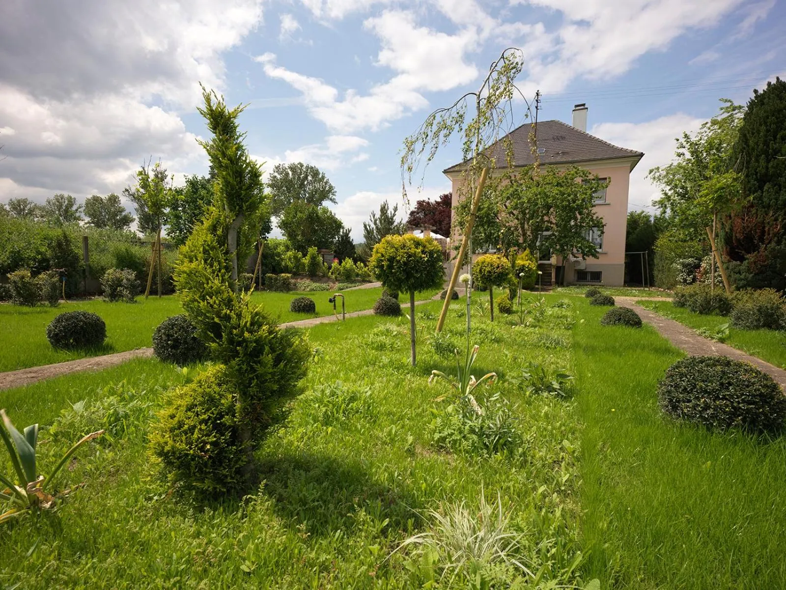 View (from property/room) in B&B "Villa Fink"