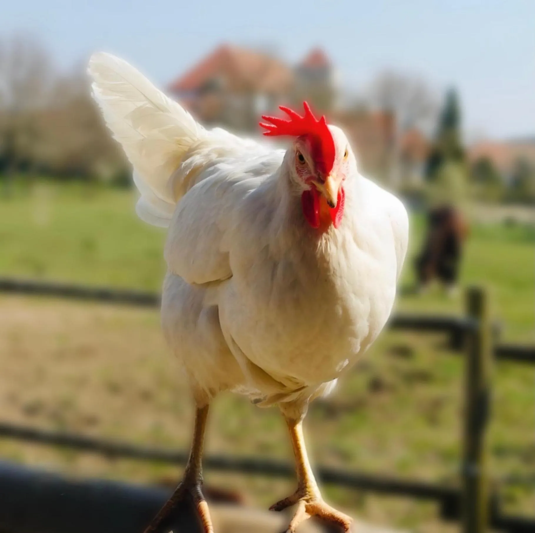 Romantik Hotel Zum Klosterbräu