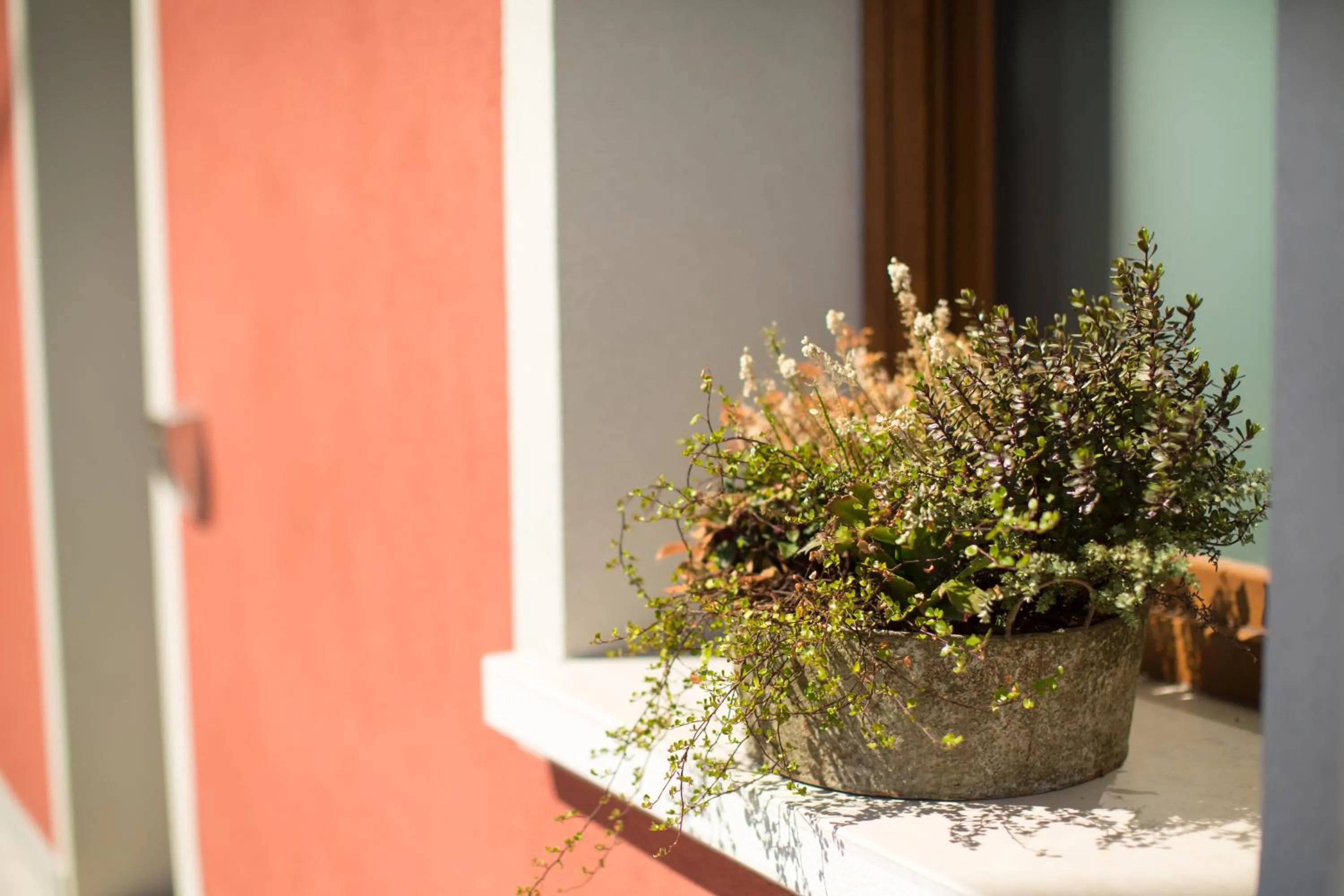 Property building in Guest House Bella Onda