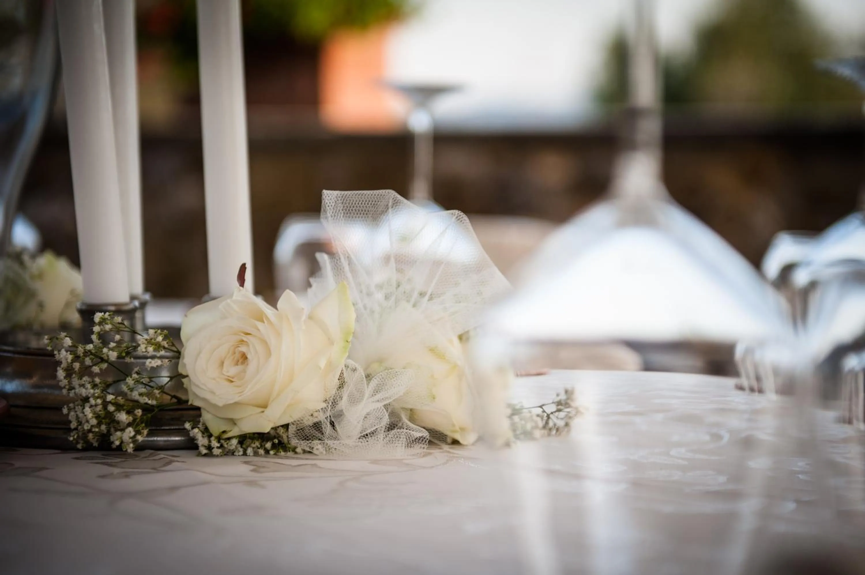 Day in Fattoria Pianetti