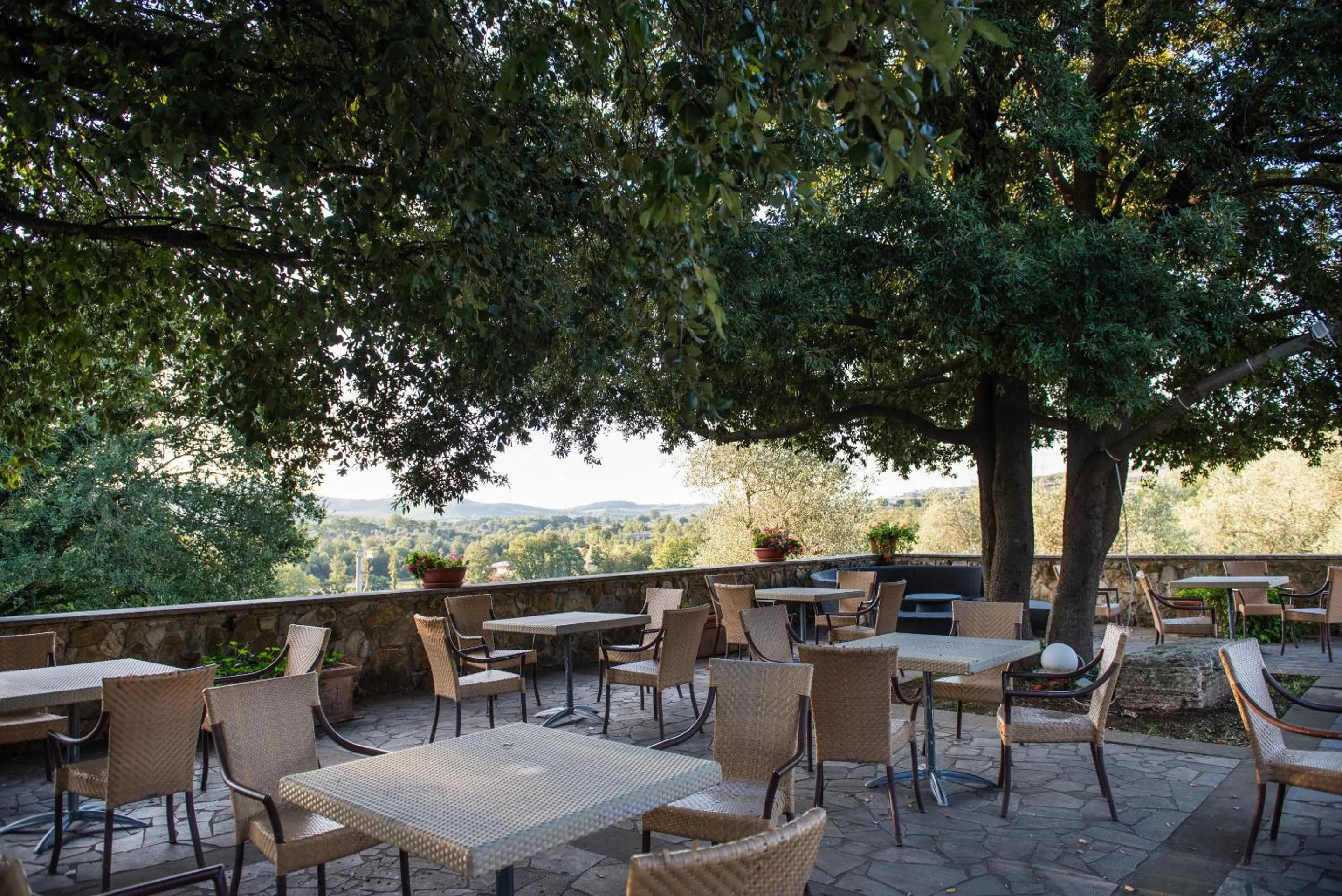 View (from property/room) in Fattoria Pianetti