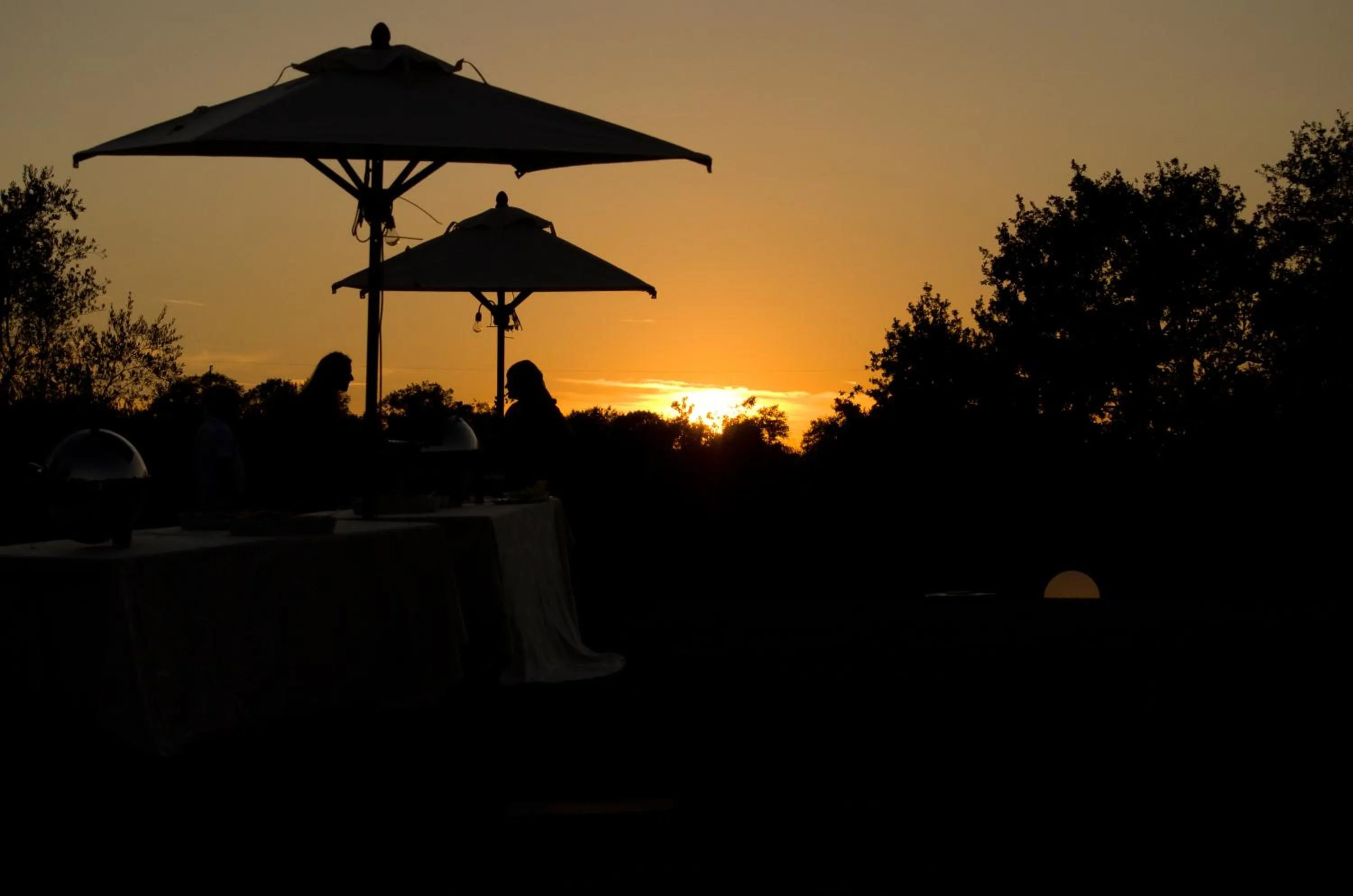Garden in Fattoria Pianetti