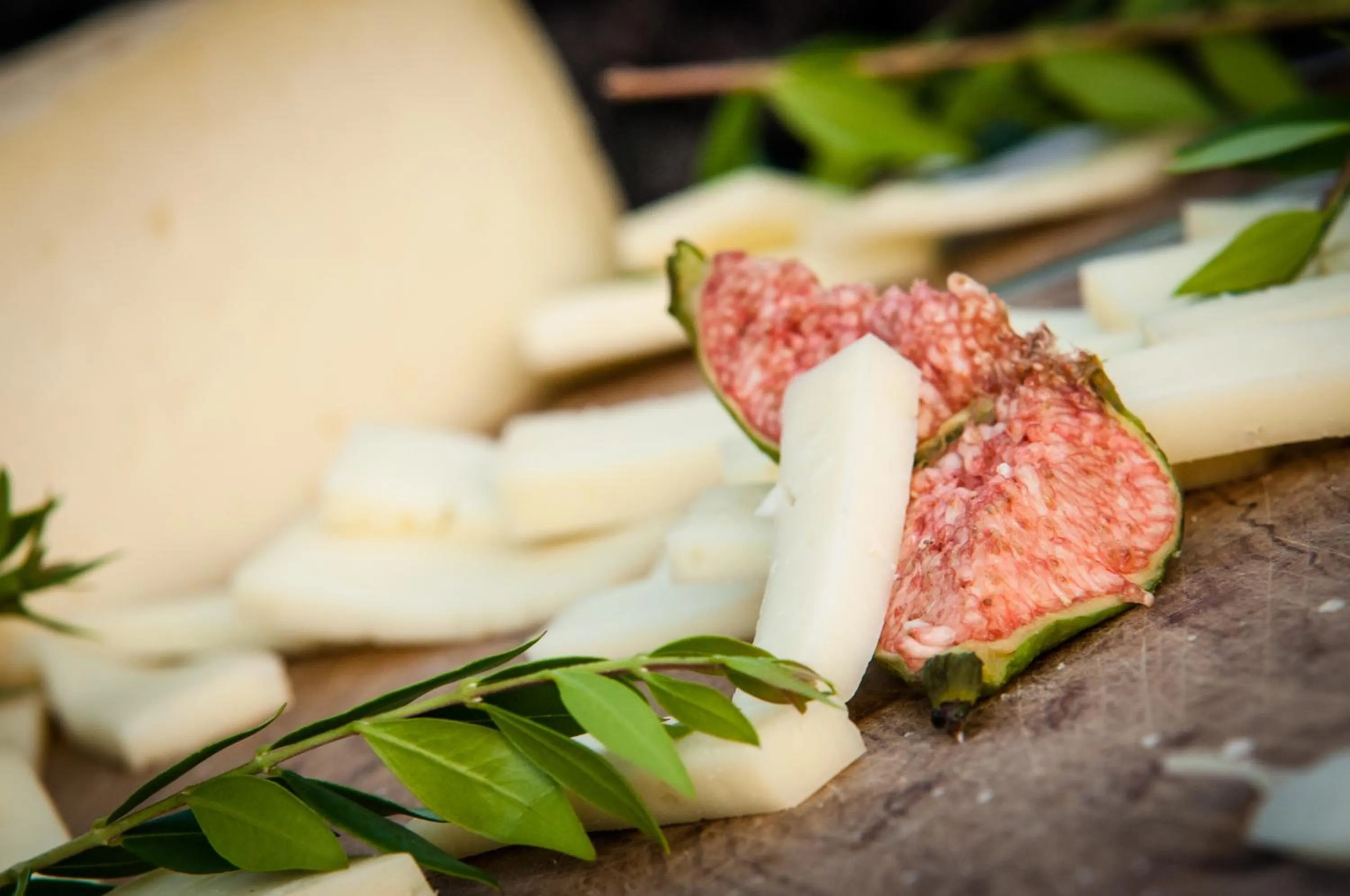 Day in Fattoria Pianetti