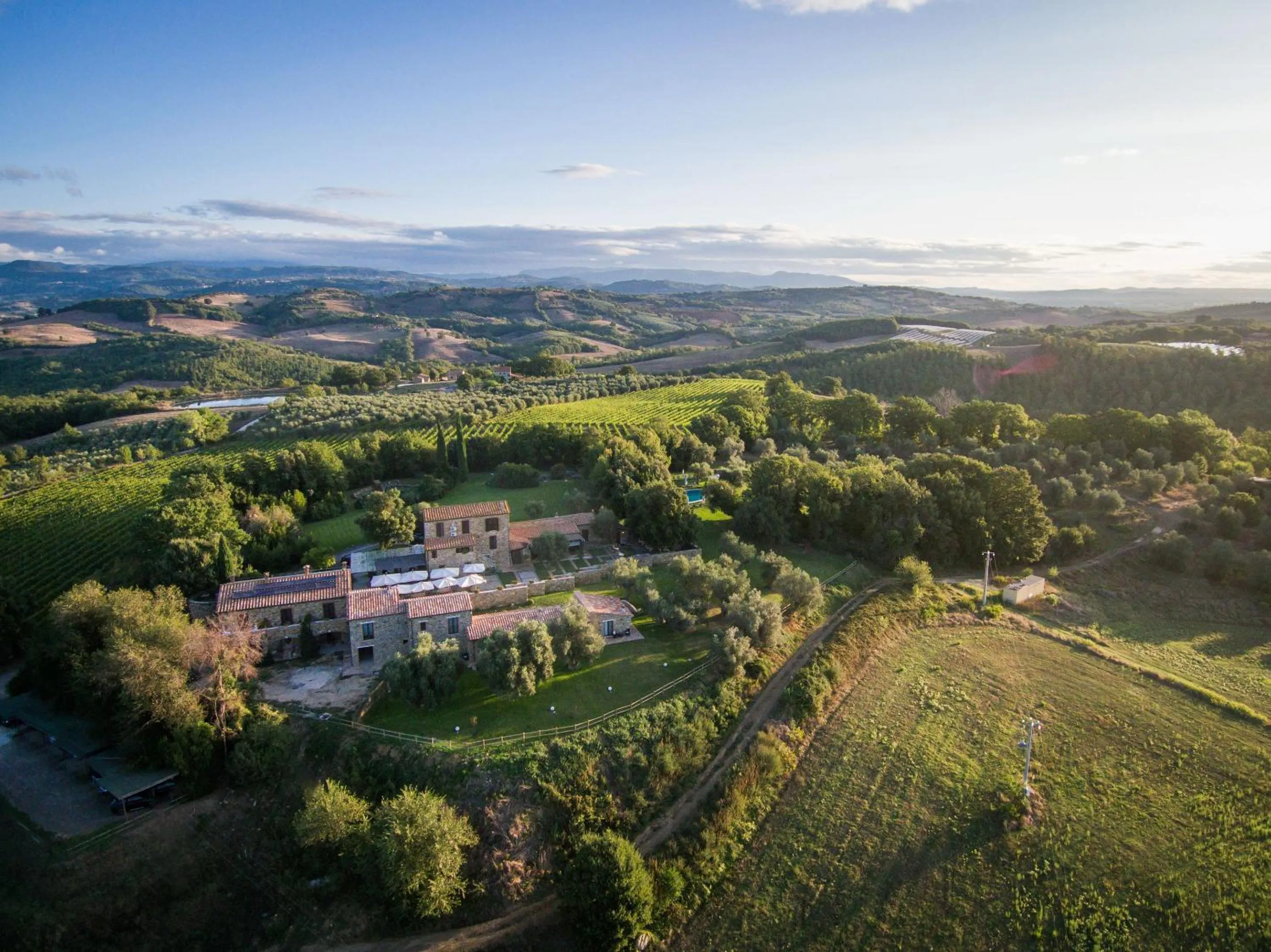Bird's eye view in Fattoria Pianetti