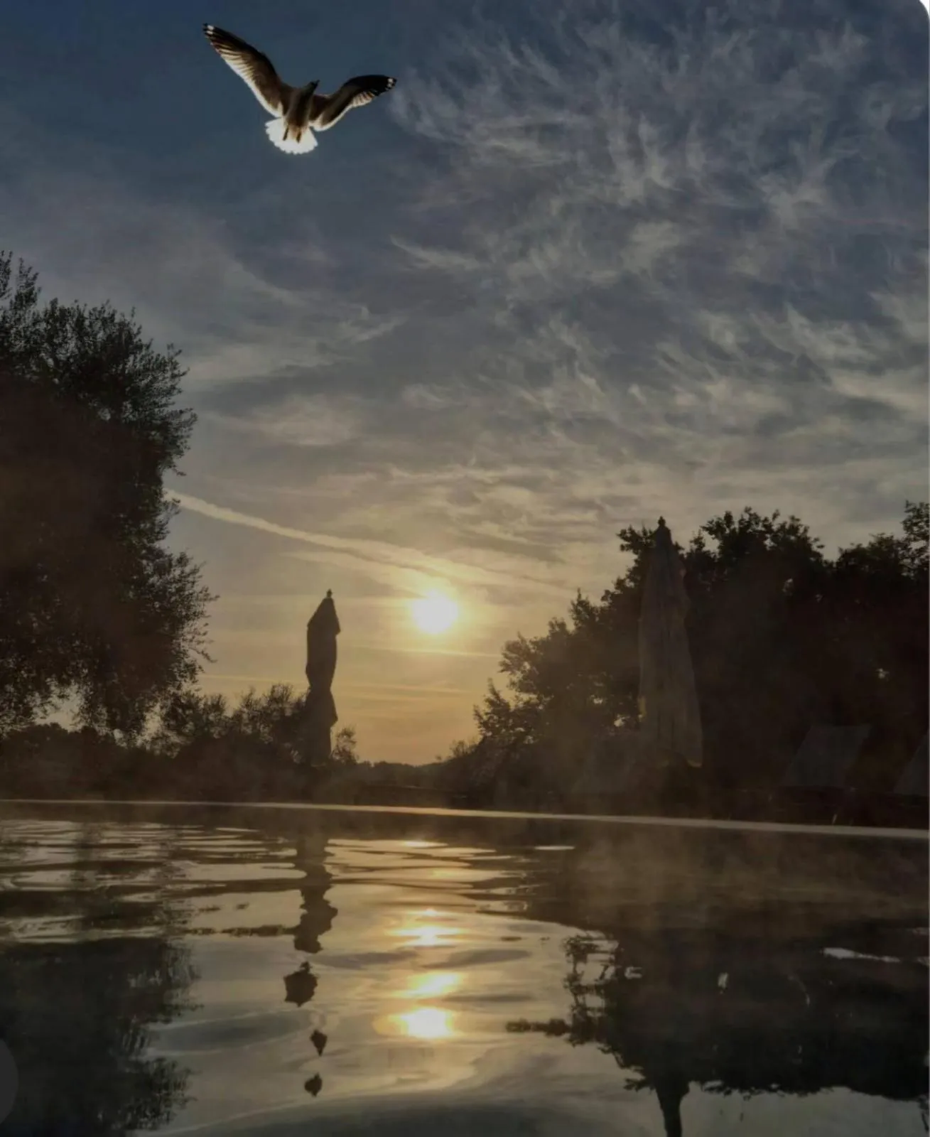 Swimming pool in Fattoria Pianetti