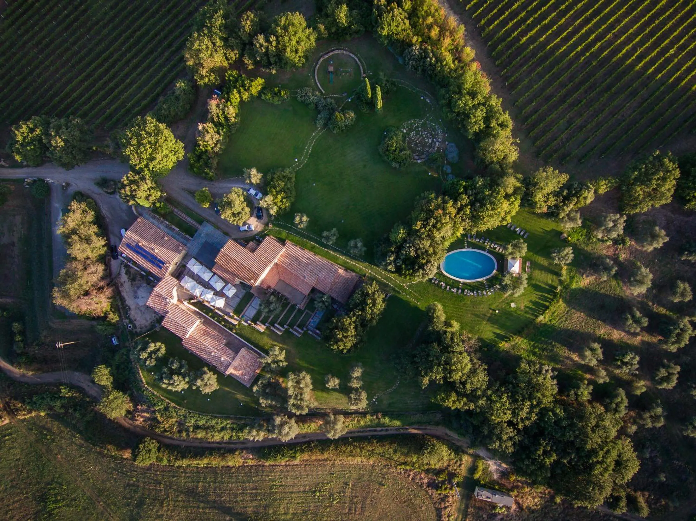Bird's eye view in Fattoria Pianetti