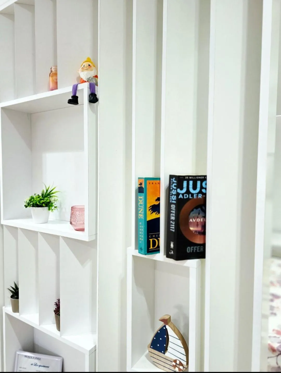 Library in Loi apartment
