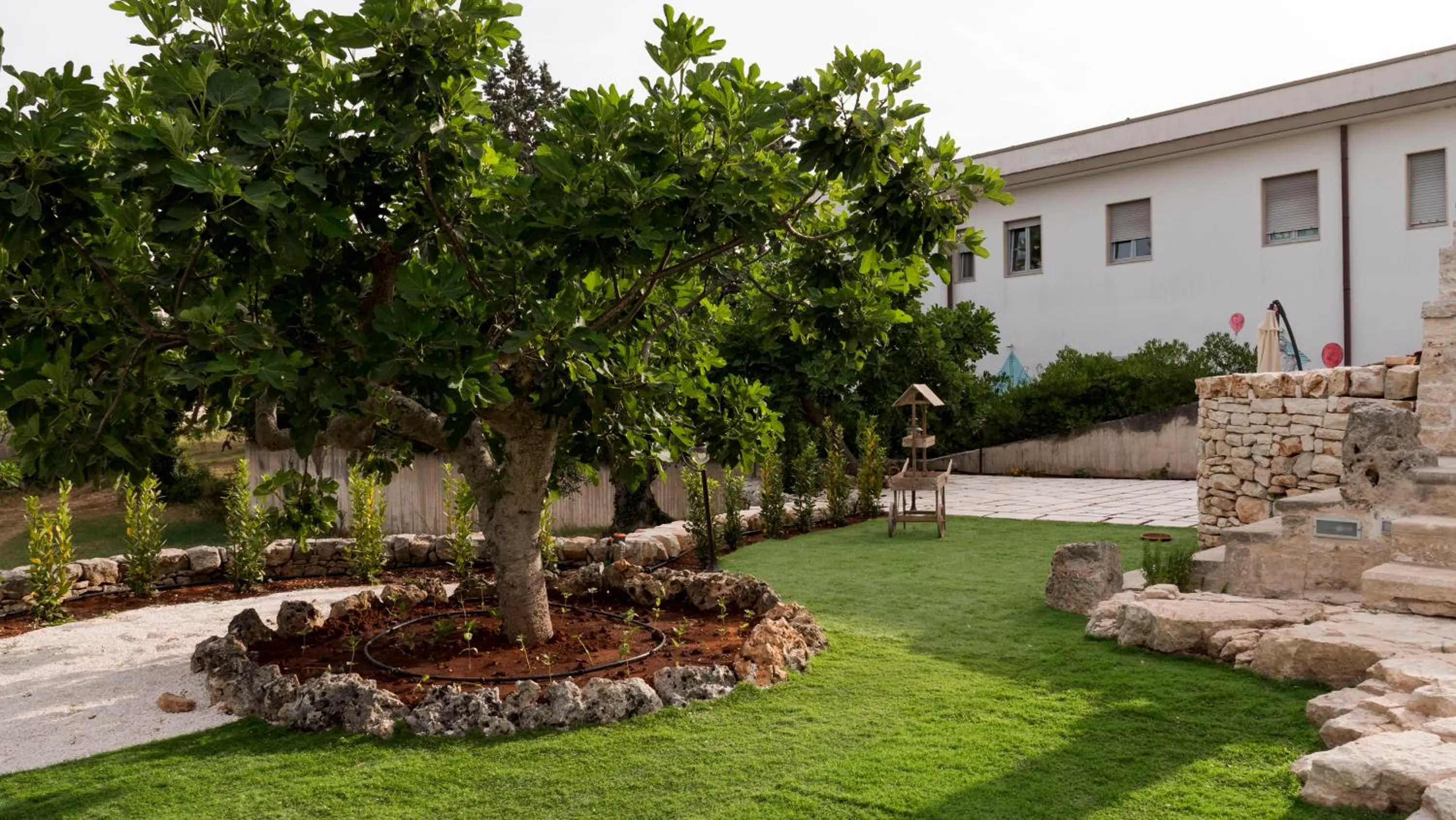 Garden in B&b I Trulli dei Desideri