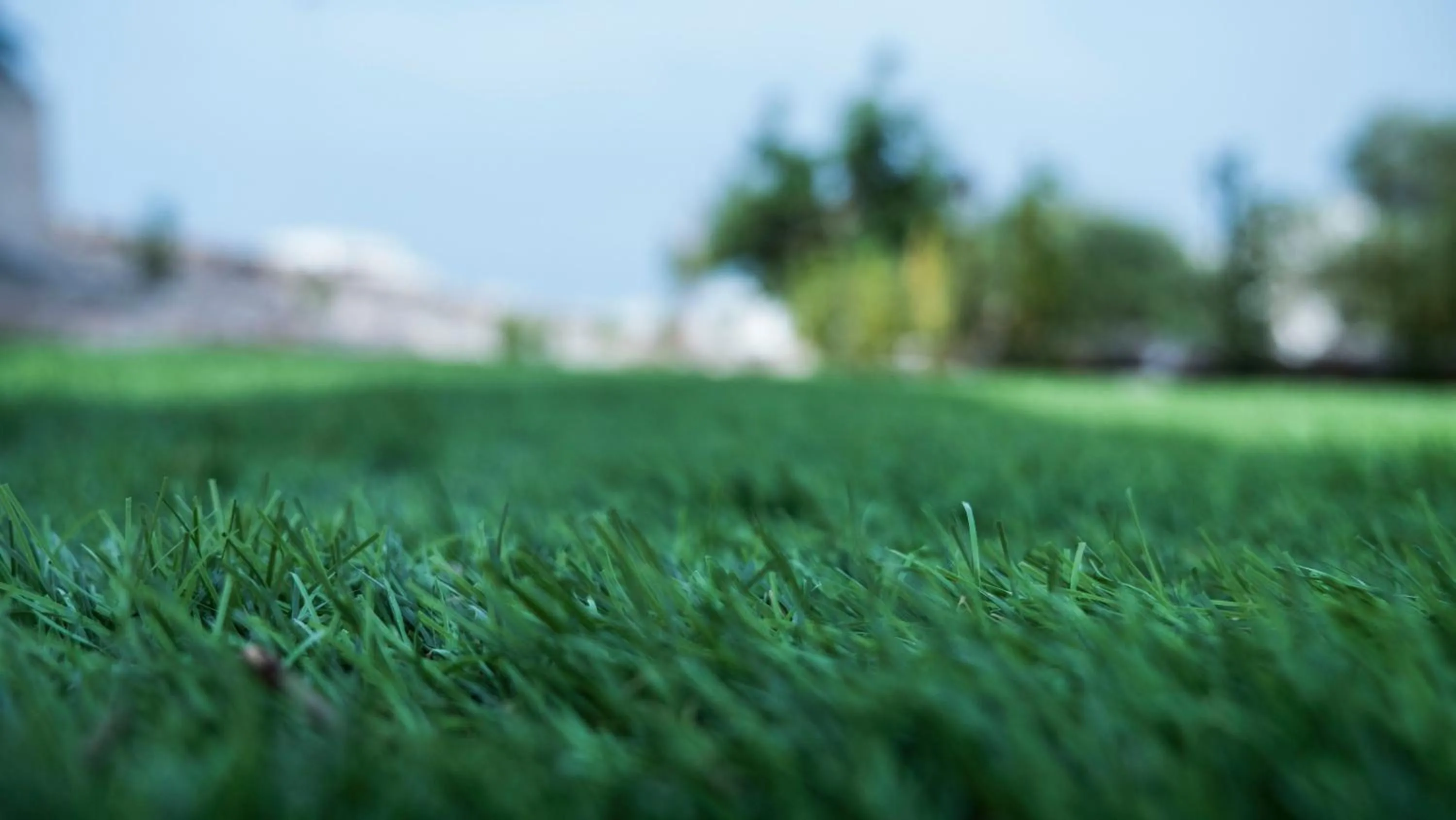 Garden in B&b I Trulli dei Desideri