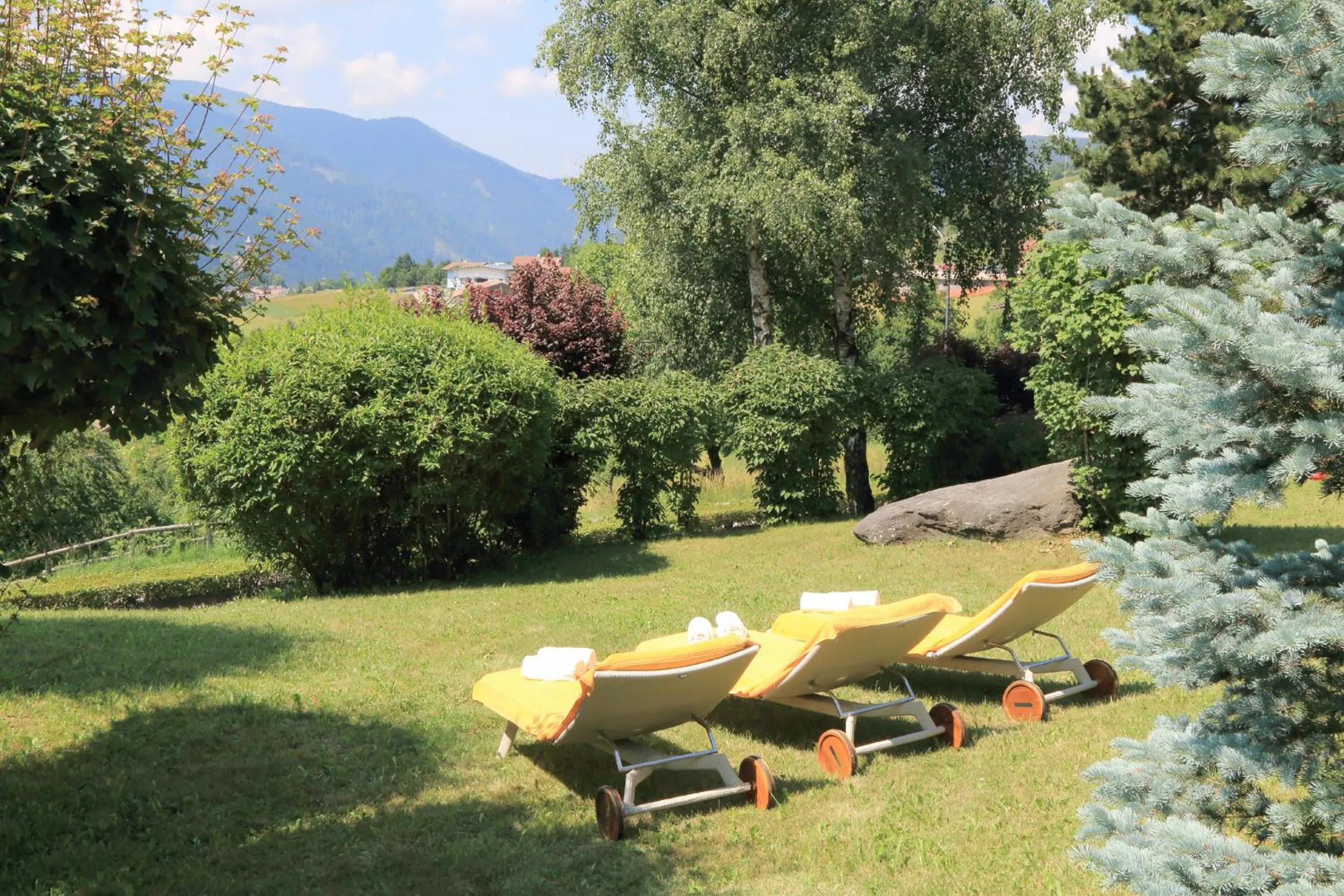 Natural landscape in Park Hotel Bellacosta