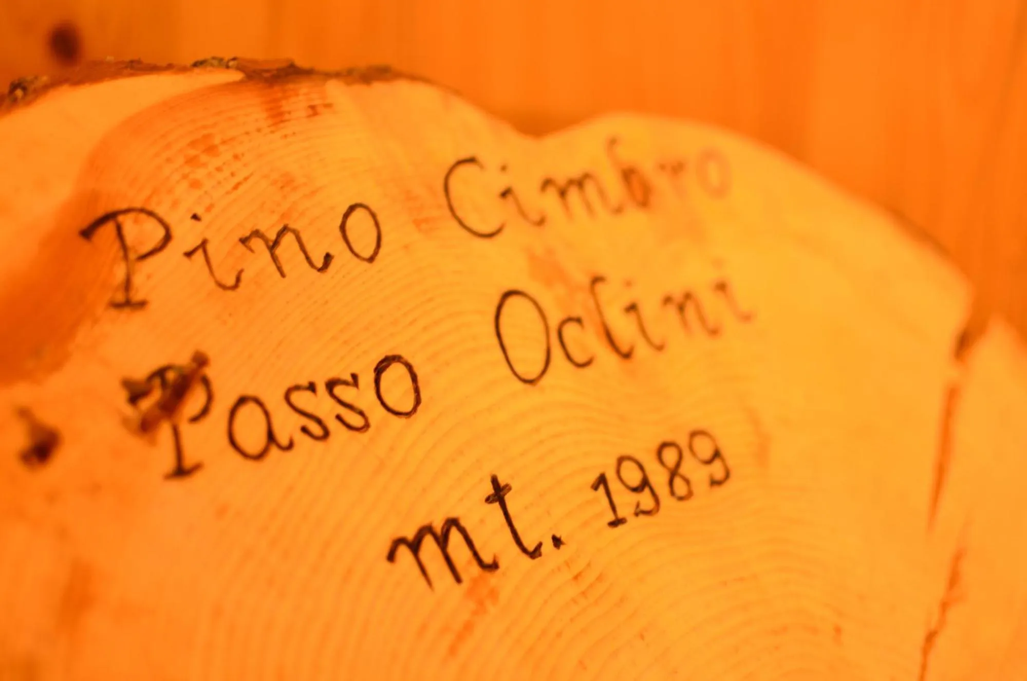 Decorative detail in Park Hotel Bellacosta