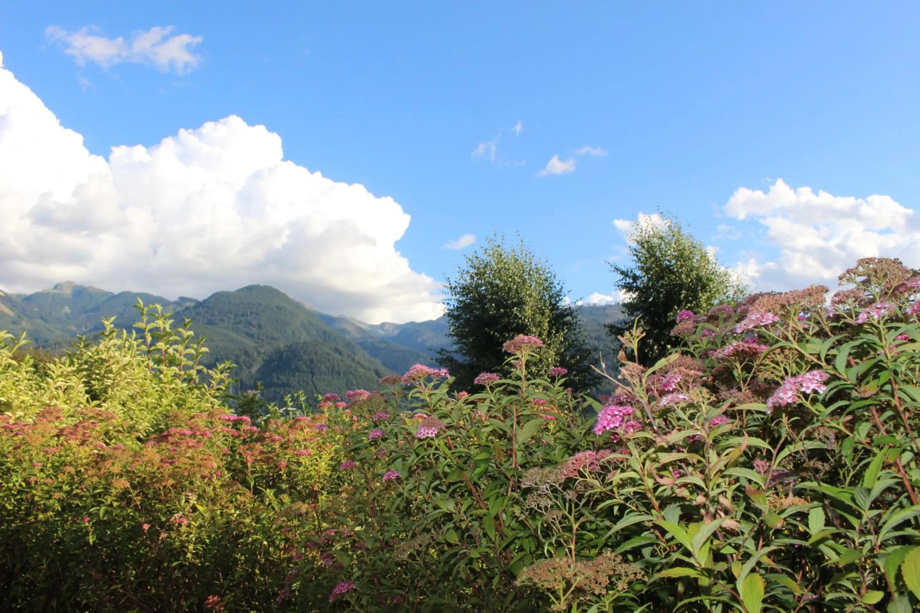 Mountain view in Park Hotel Bellacosta
