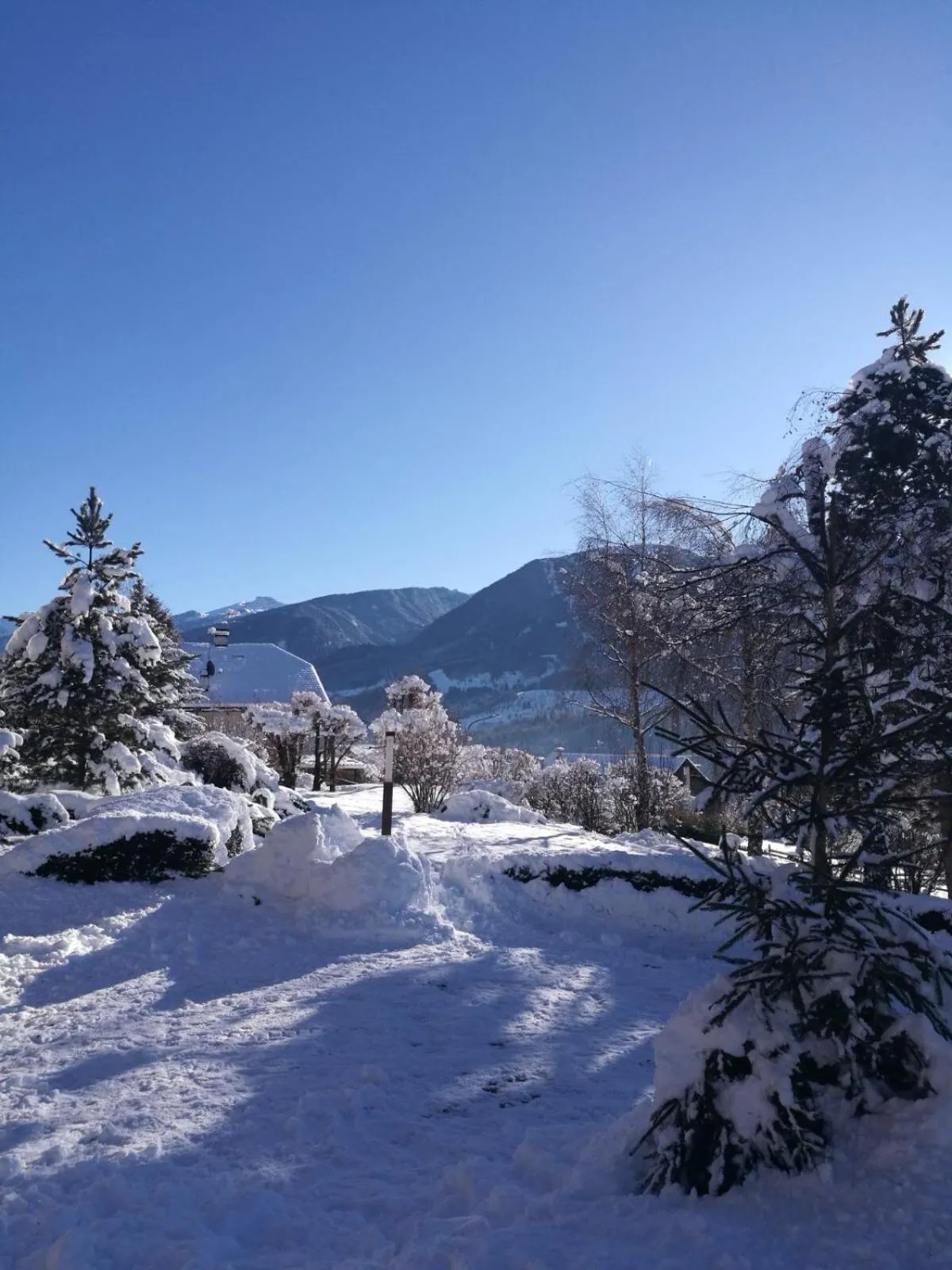 Winter in Park Hotel Bellacosta