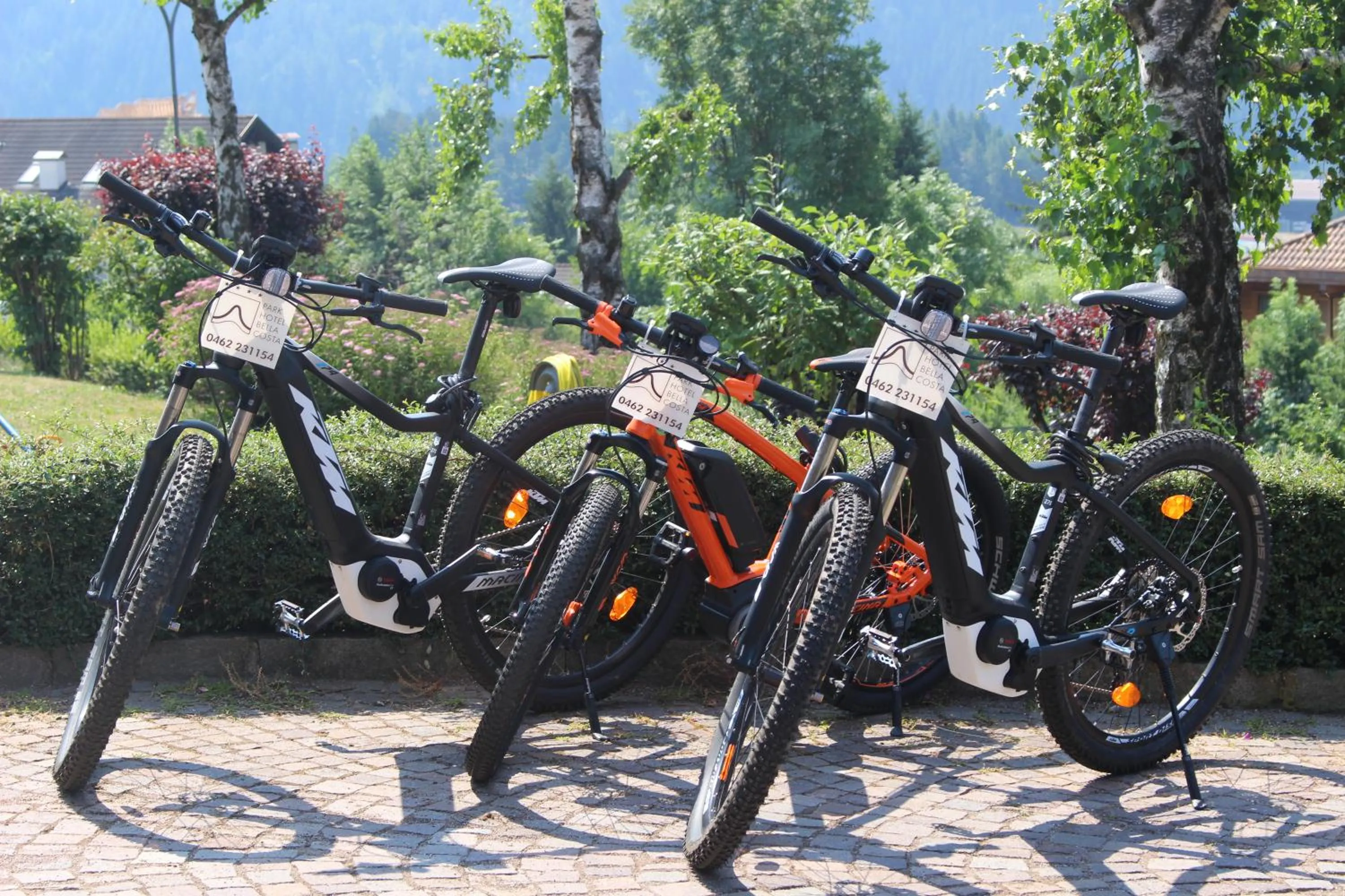 Cycling in Park Hotel Bellacosta