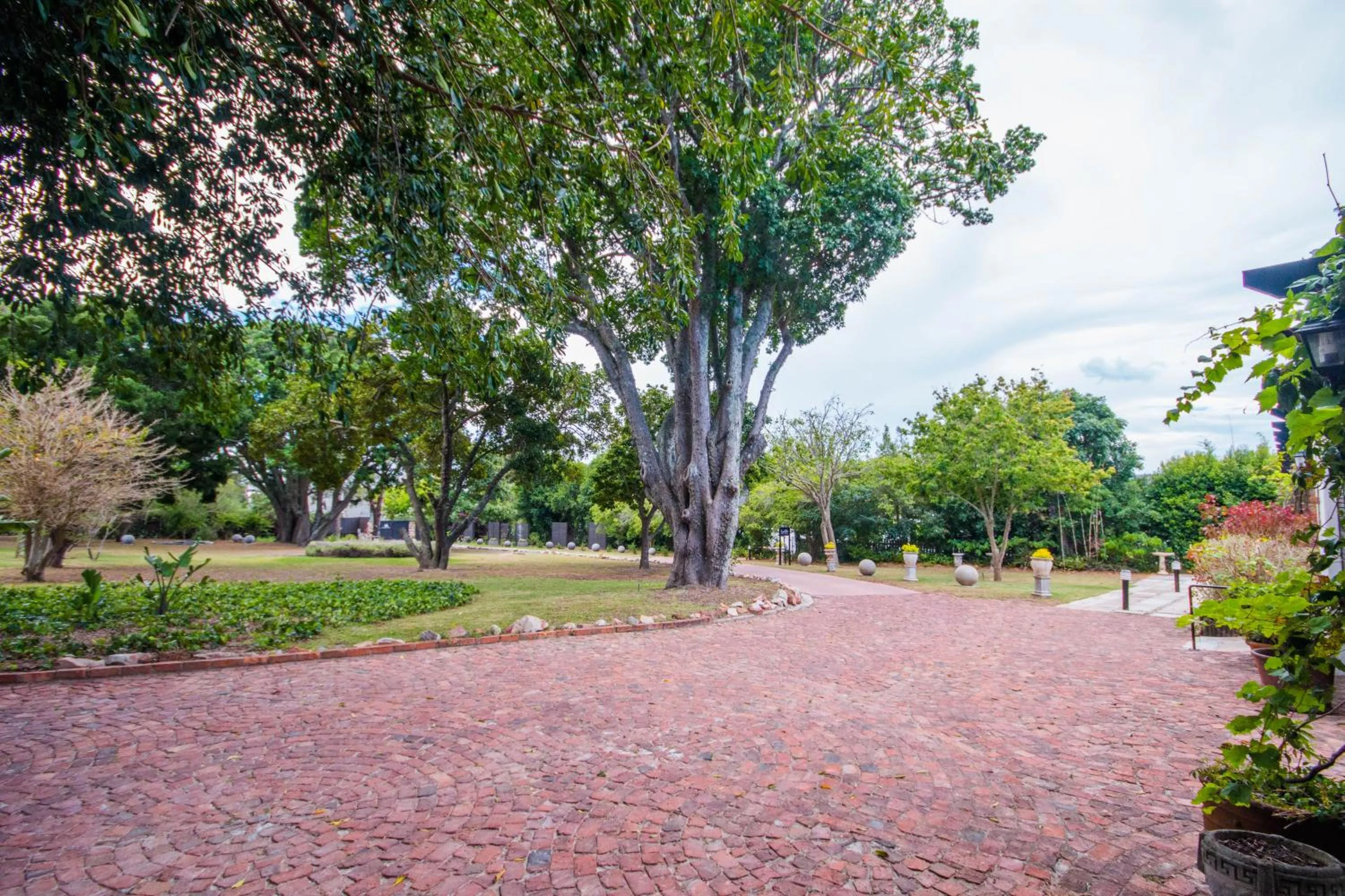 Garden in Forest Hall Guest House
