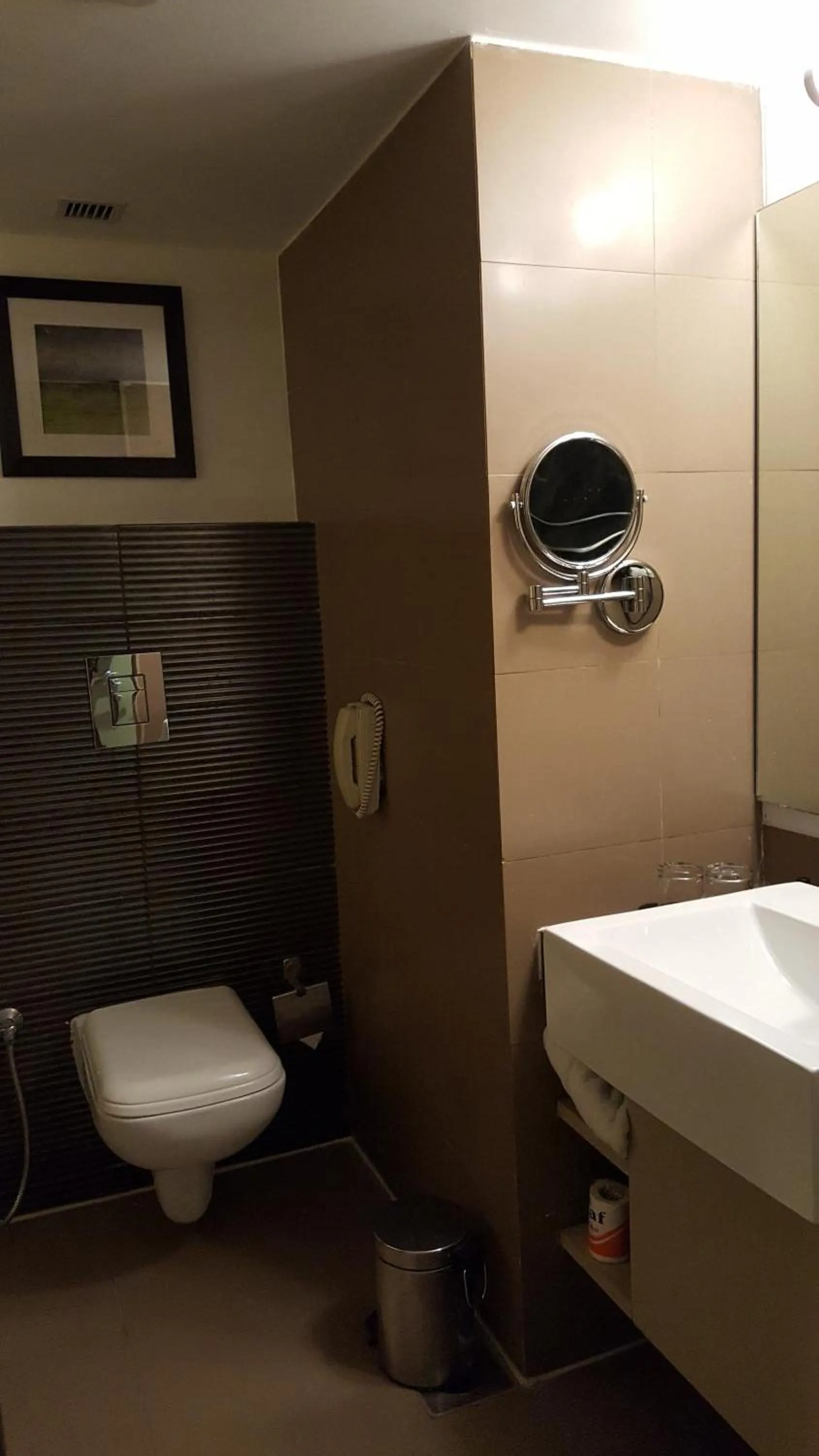 Bathroom in Royal Orchid Central Vadodara