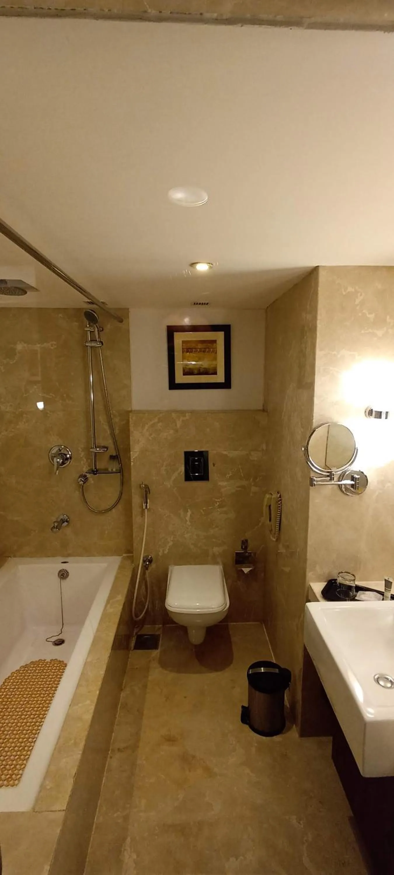 Toilet in Royal Orchid Central Vadodara