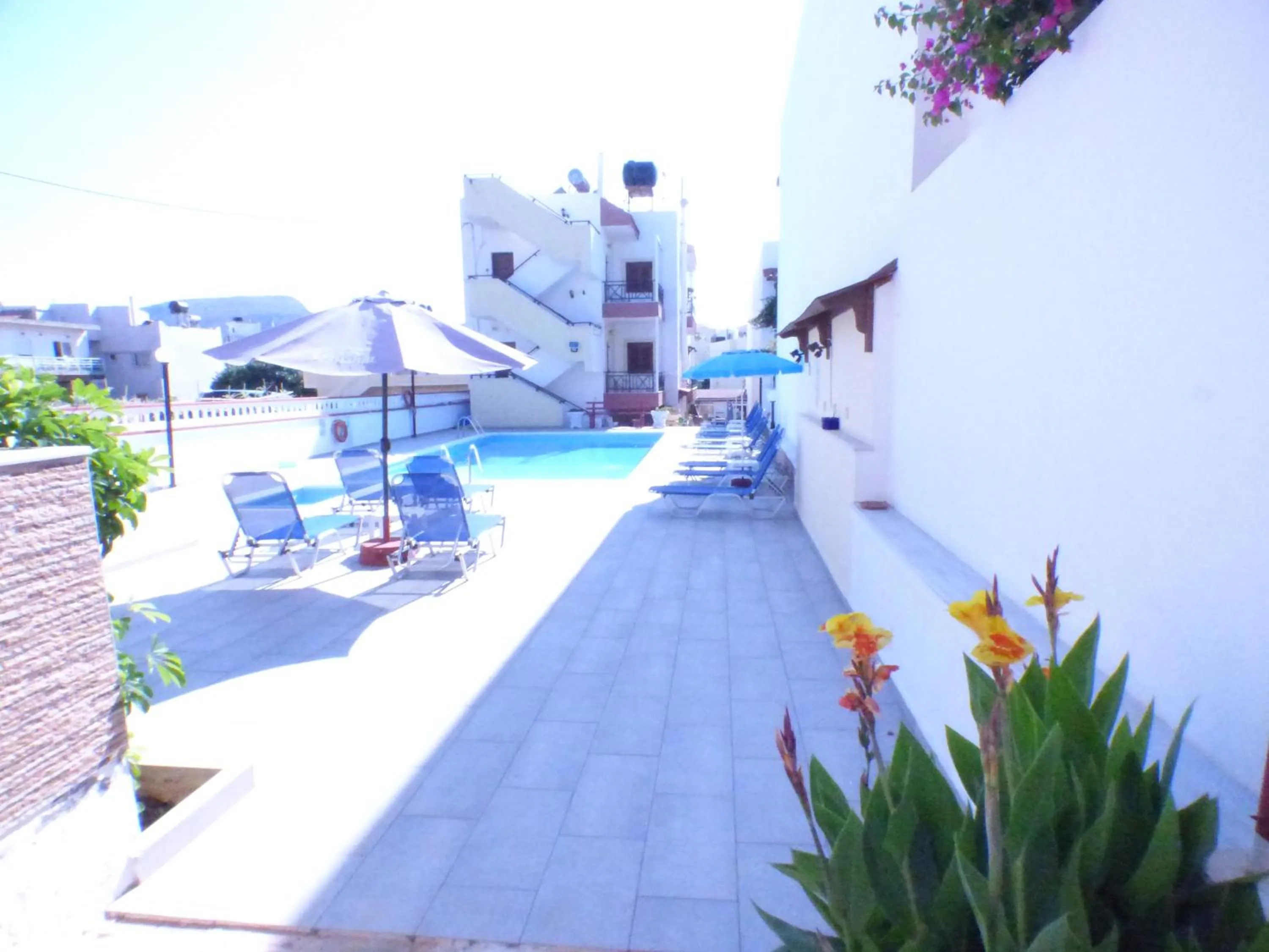 Swimming pool in Eleni Apartments