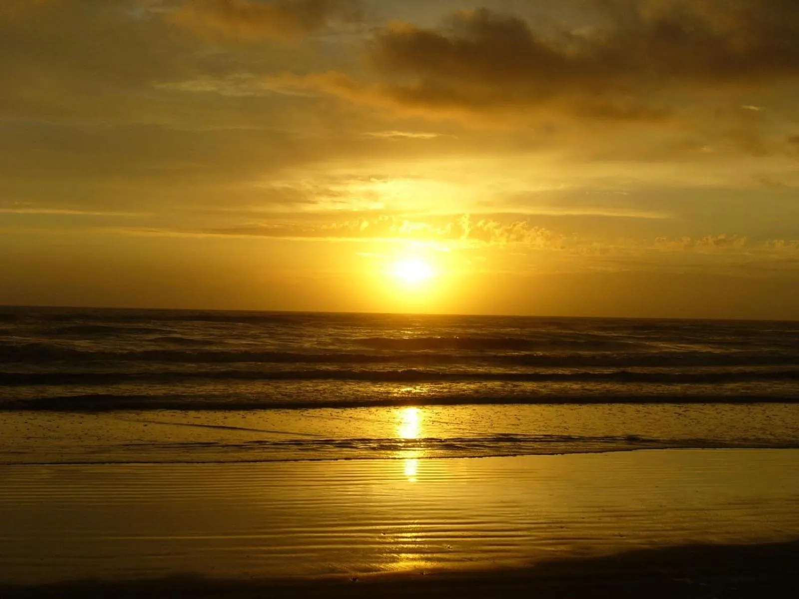 Beach in Hotel Colonial