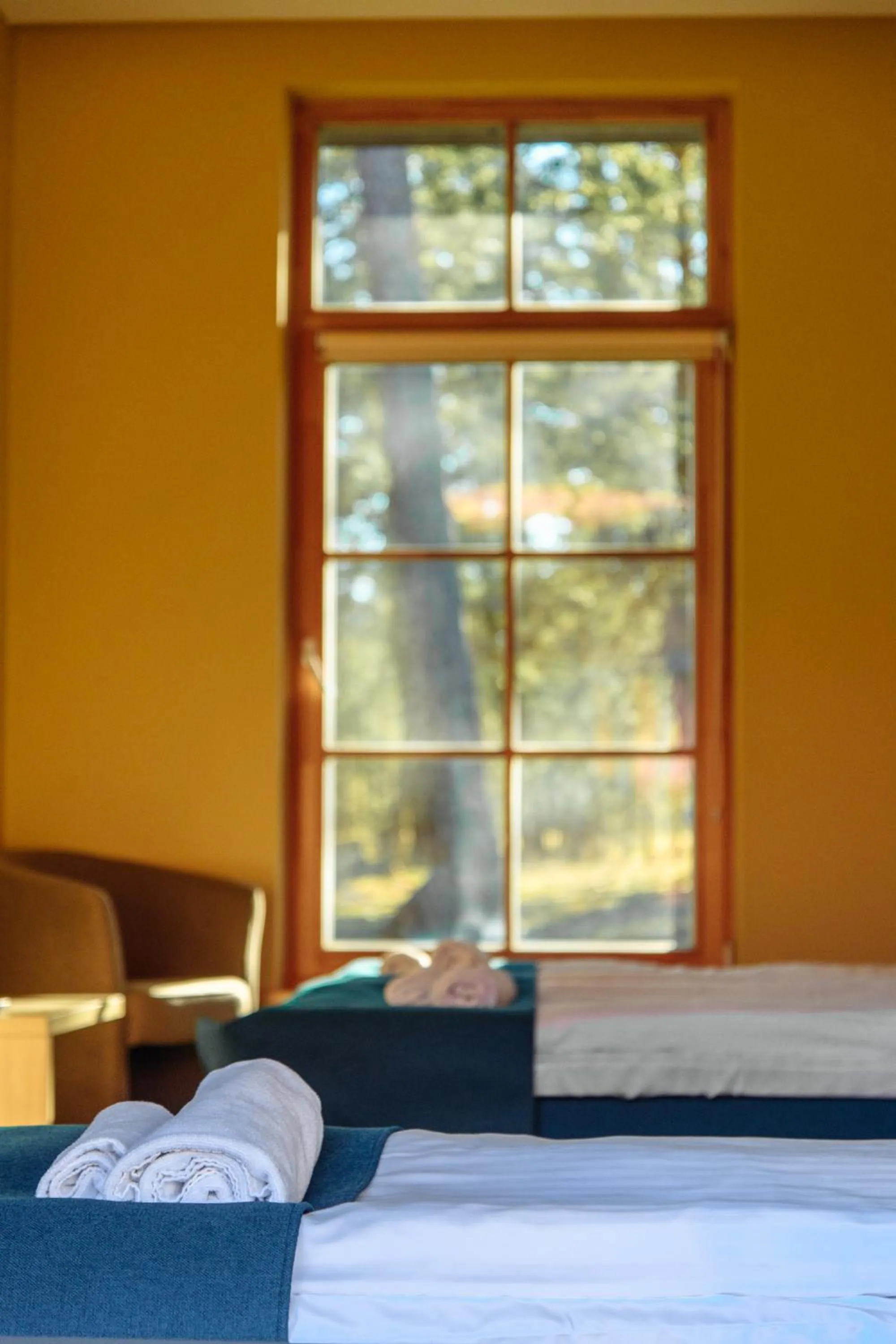 Bed in Hotel Palanga Camping