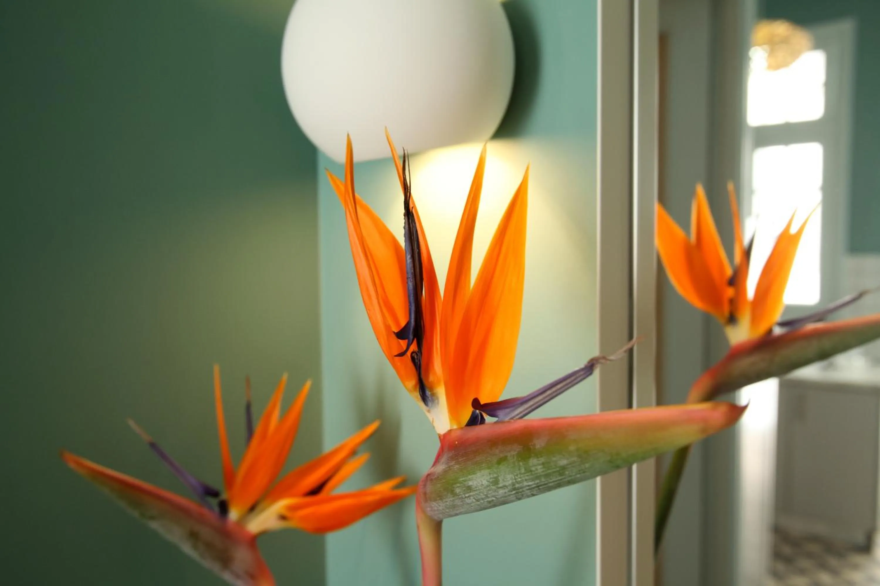 Bathroom in Live in Athens, THISEIO Historic House