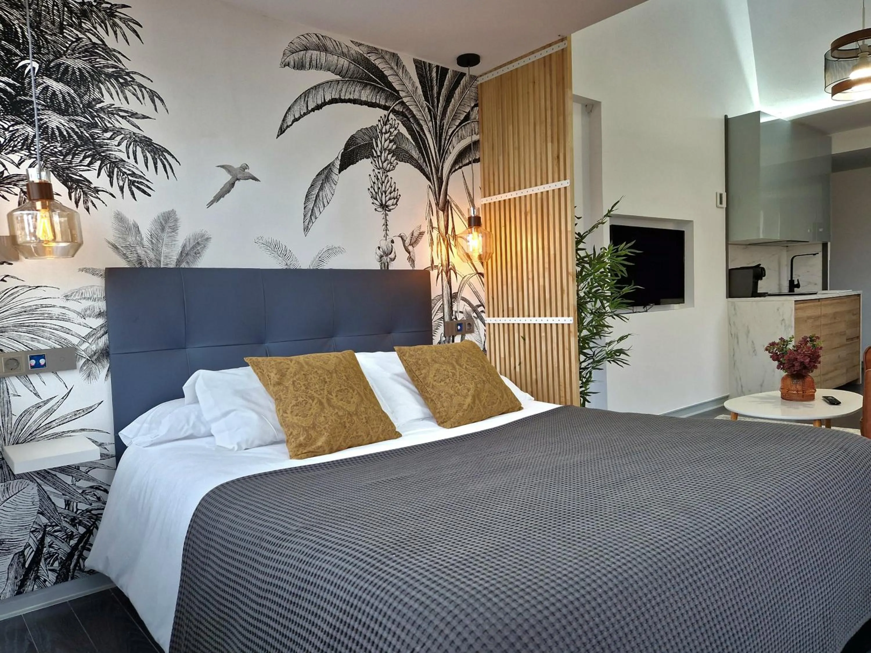 Standard Studio in Plasencia Plaza Mayor Luxury