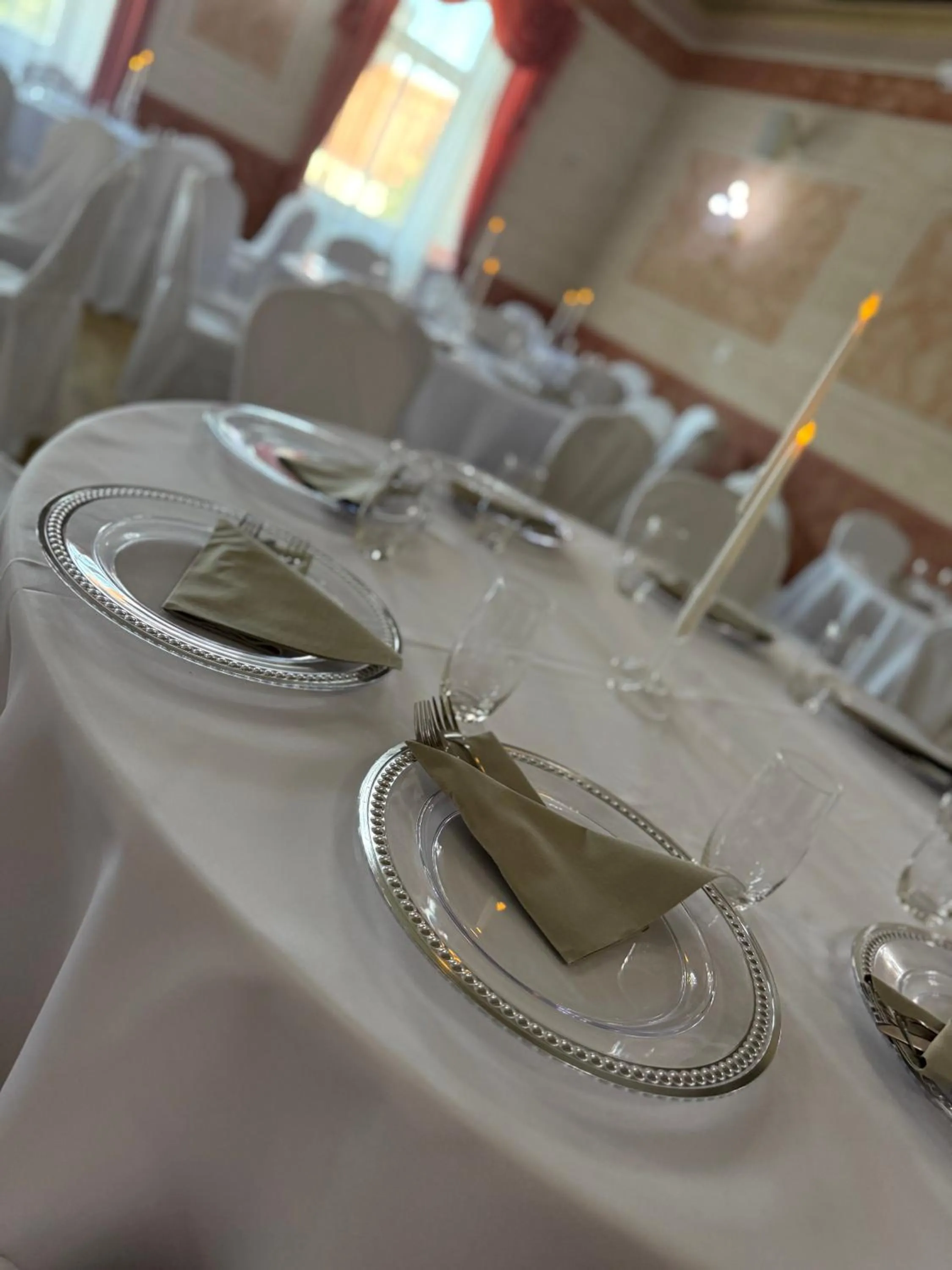 Banquet/Function facilities in Hotel Jelen