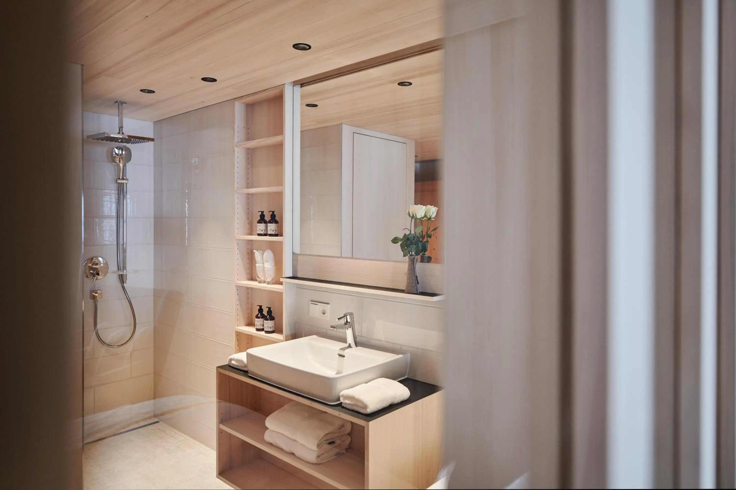 Shower in Hotel Mohnenfluh