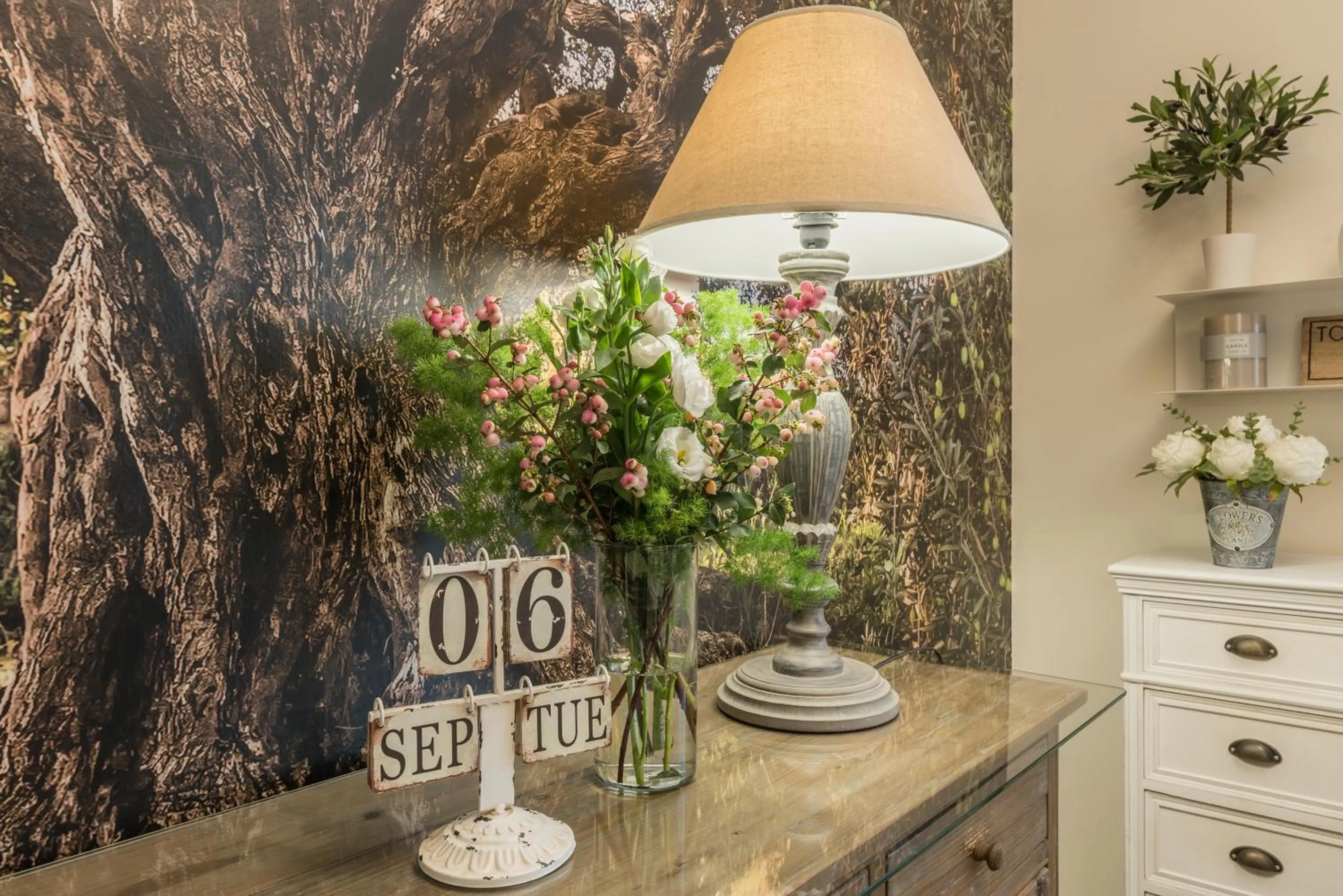 Day in B&B L'Ulivo Fiumicino