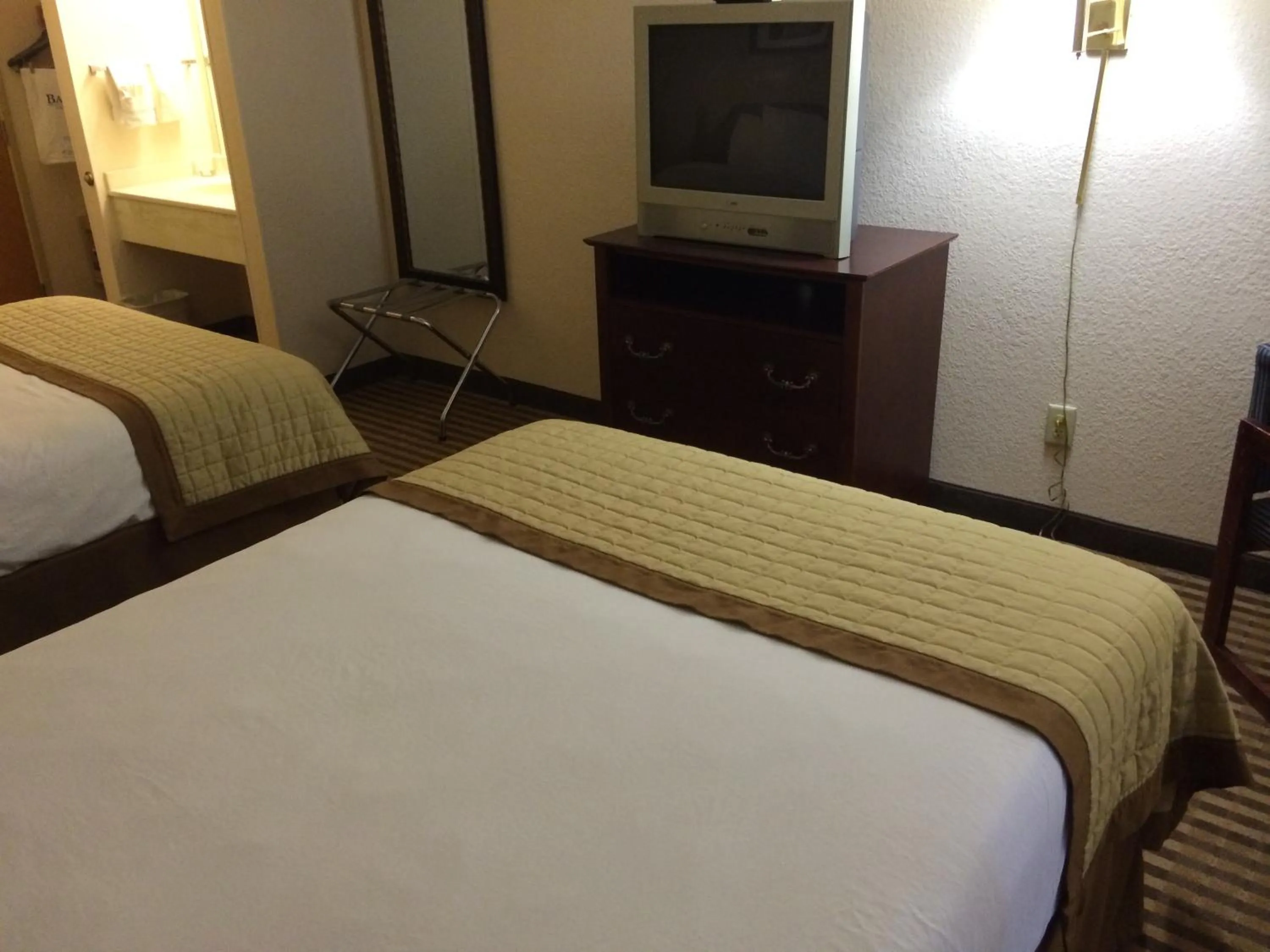 Decorative detail, TV/Entertainment Center in Baymont by Wyndham Metropolis